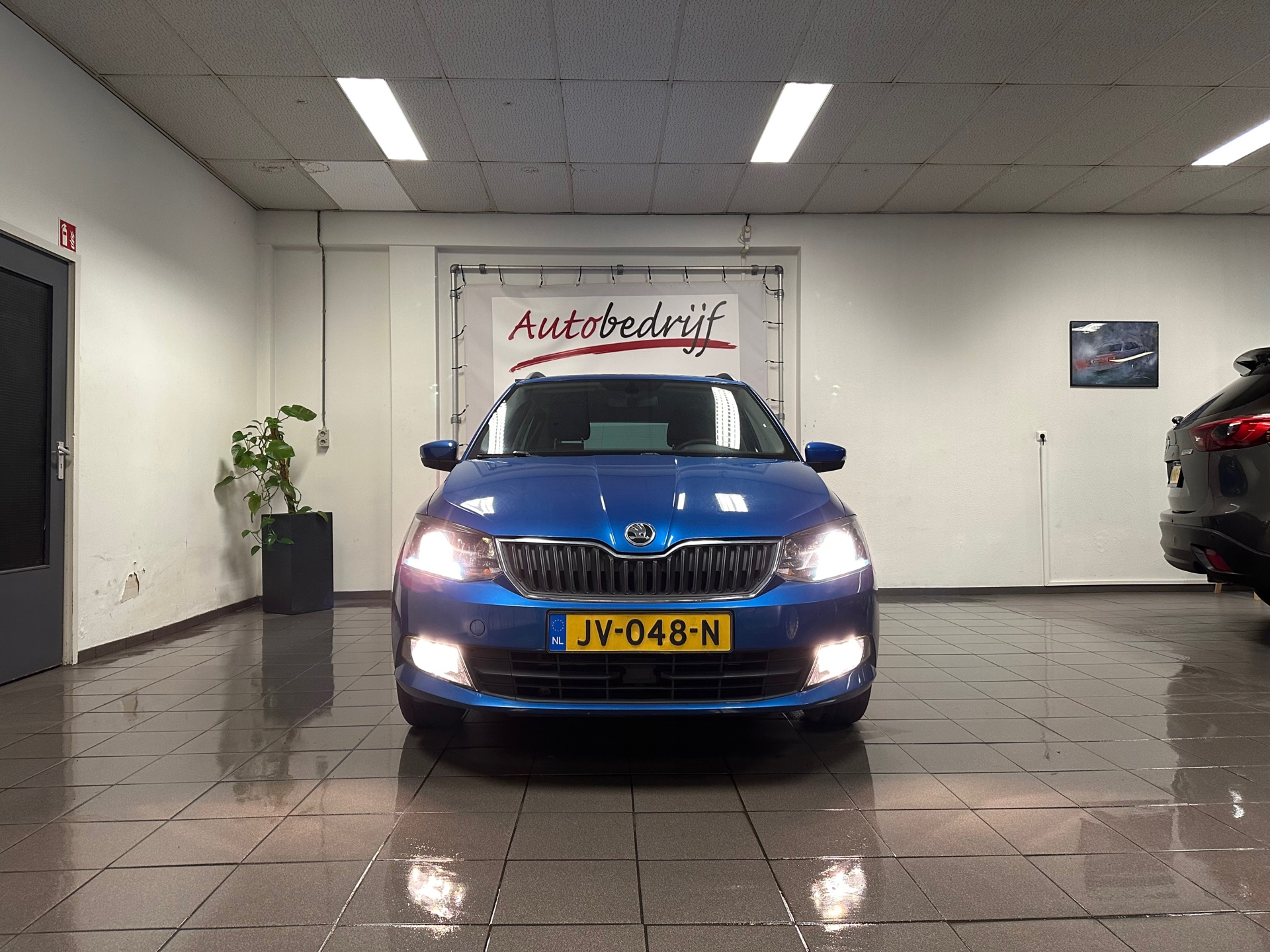 https://www.autokooy.nl//xml/images/42058706-8.JPG