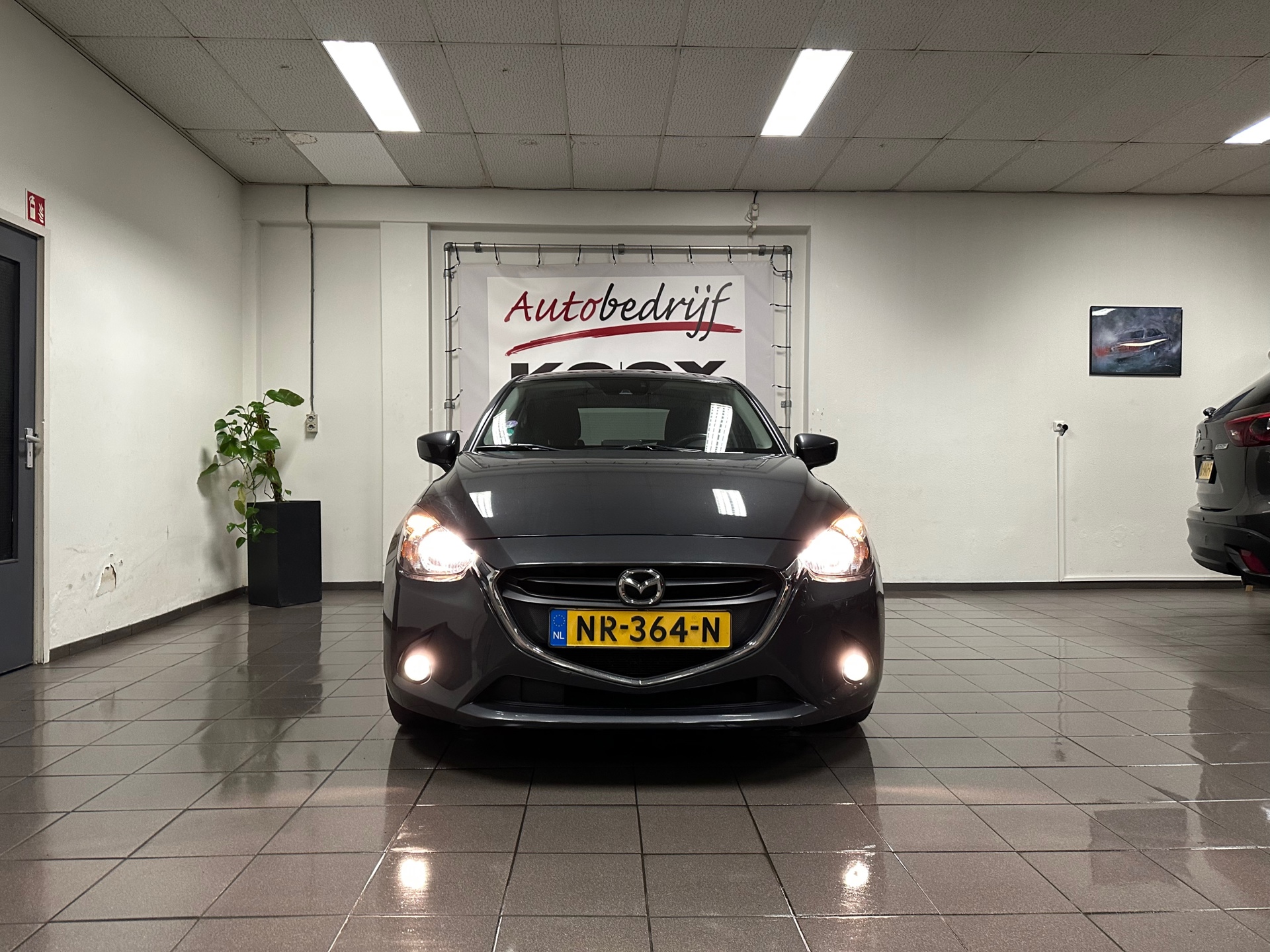https://www.autokooy.nl//xml/images/42336623-8.JPG