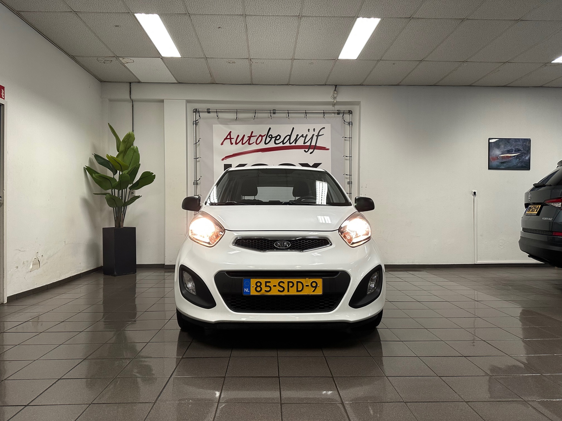 https://www.autokooy.nl//xml/images/43143719-8.JPG