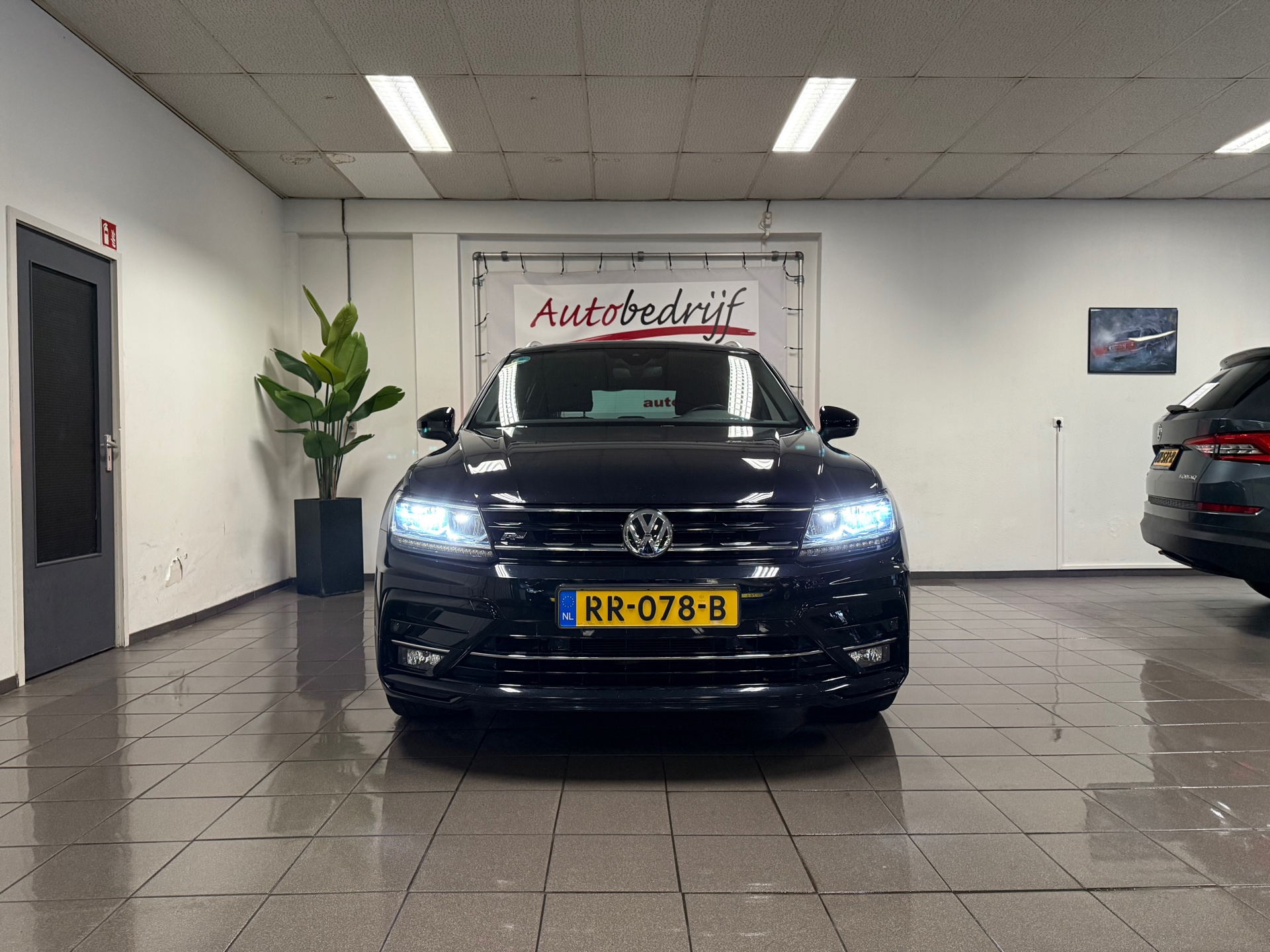 https://www.autokooy.nl//xml/images/43820201-8.JPG