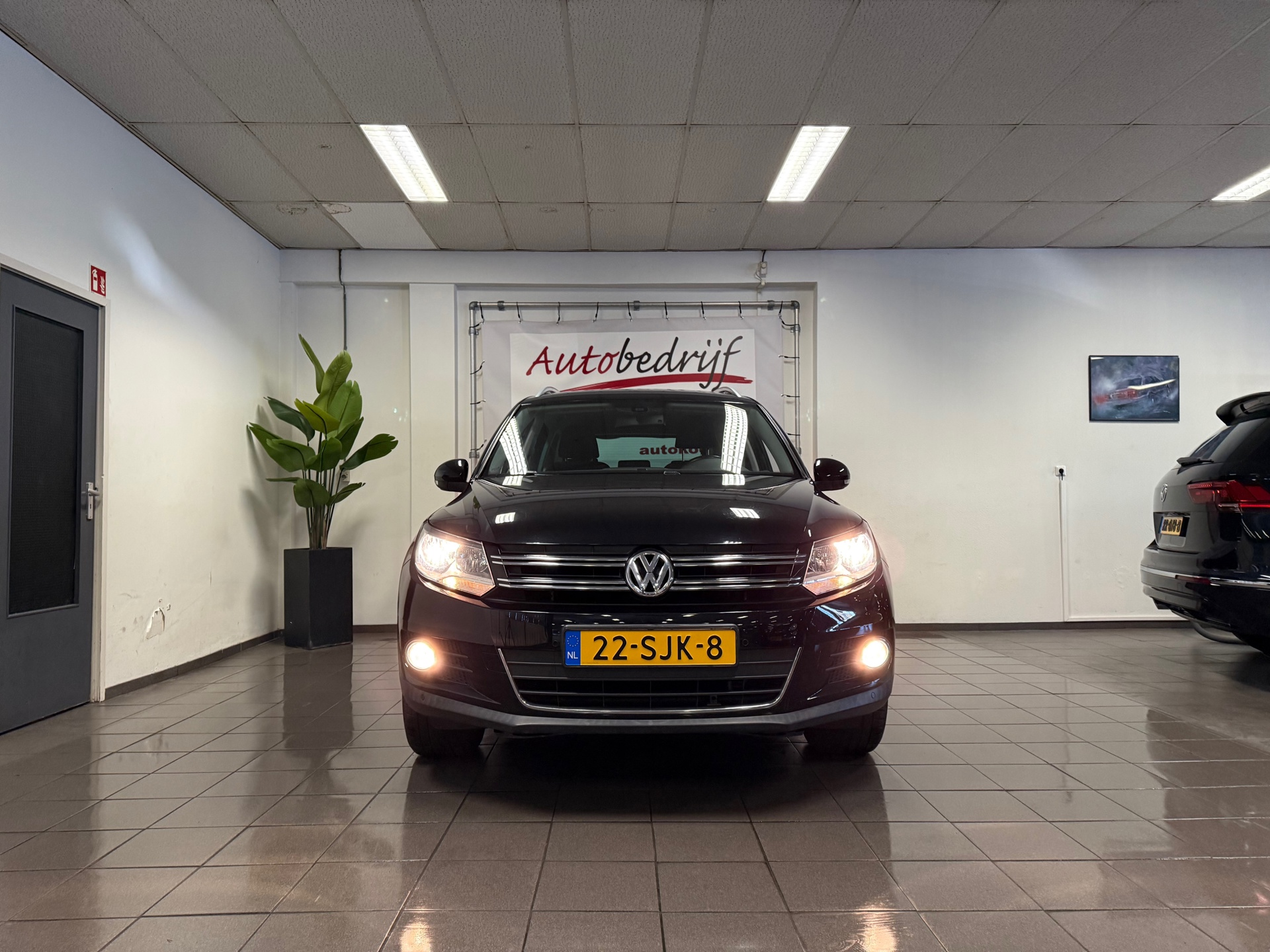 https://www.autokooy.nl//xml/images/44054557-9.JPG