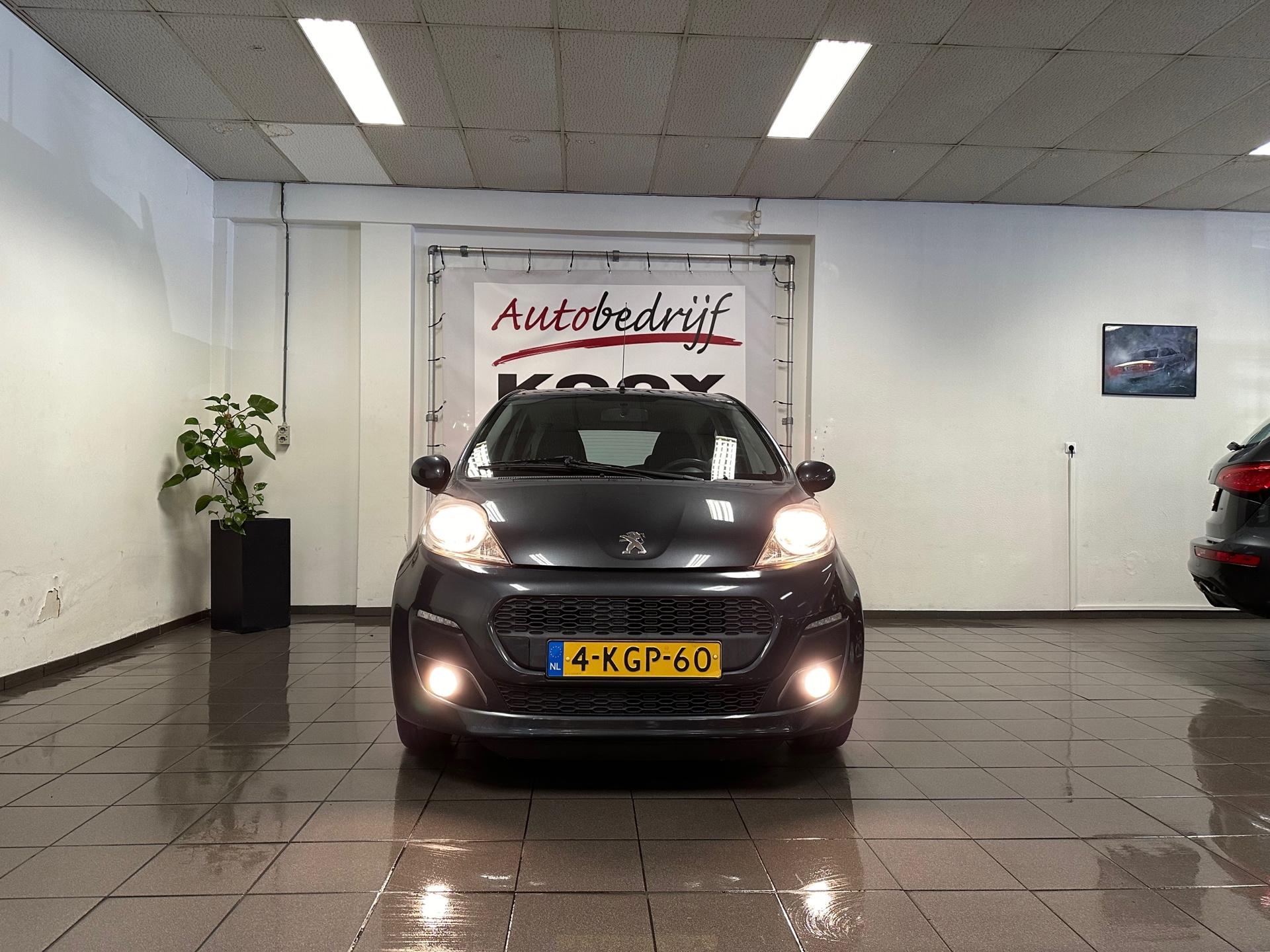 https://www.autokooy.nl//xml/images/44203663-8.JPG