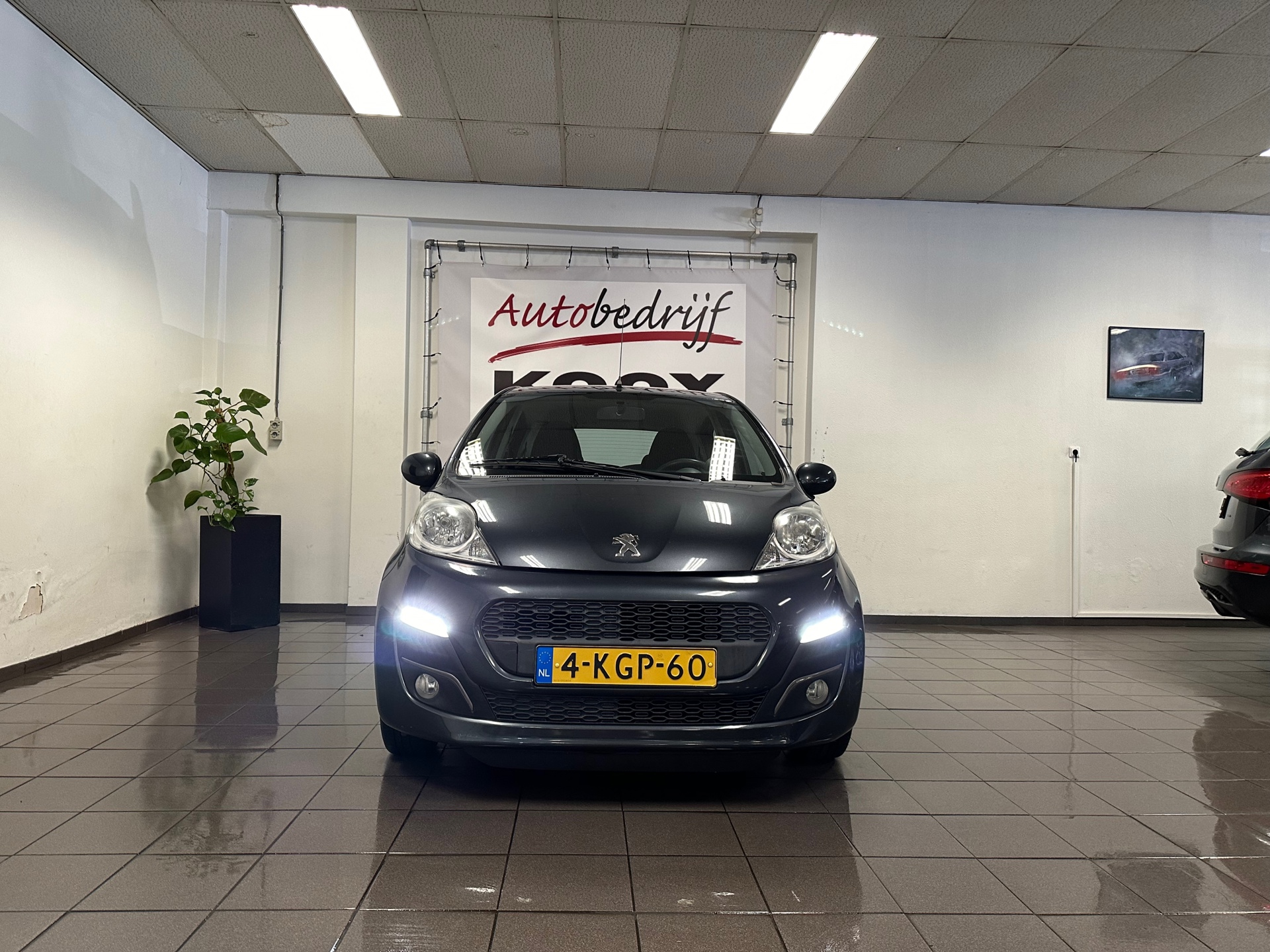 https://www.autokooy.nl//xml/images/44203663-9.JPG