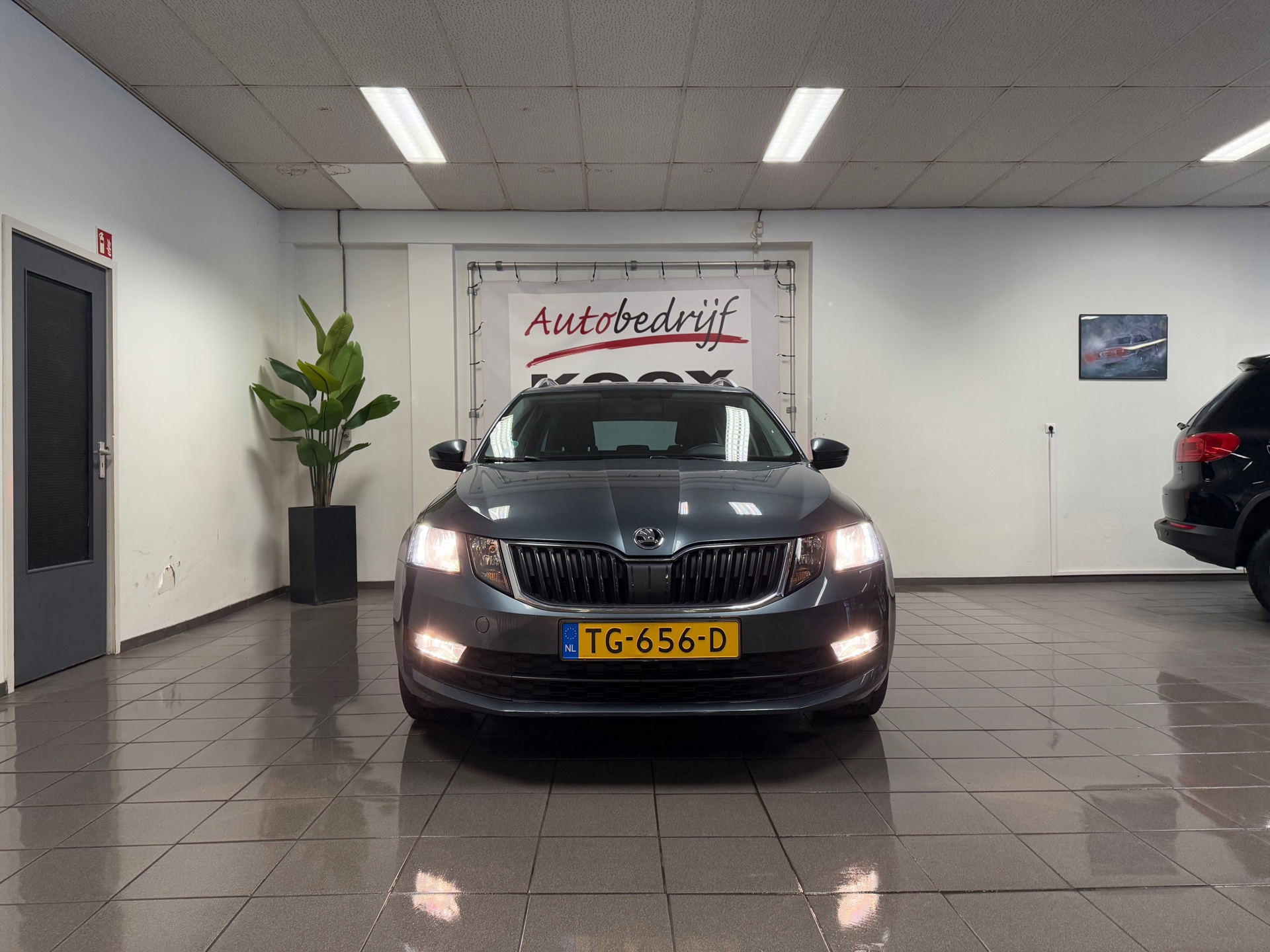 https://www.autokooy.nl//xml/images/44357629-9.JPG