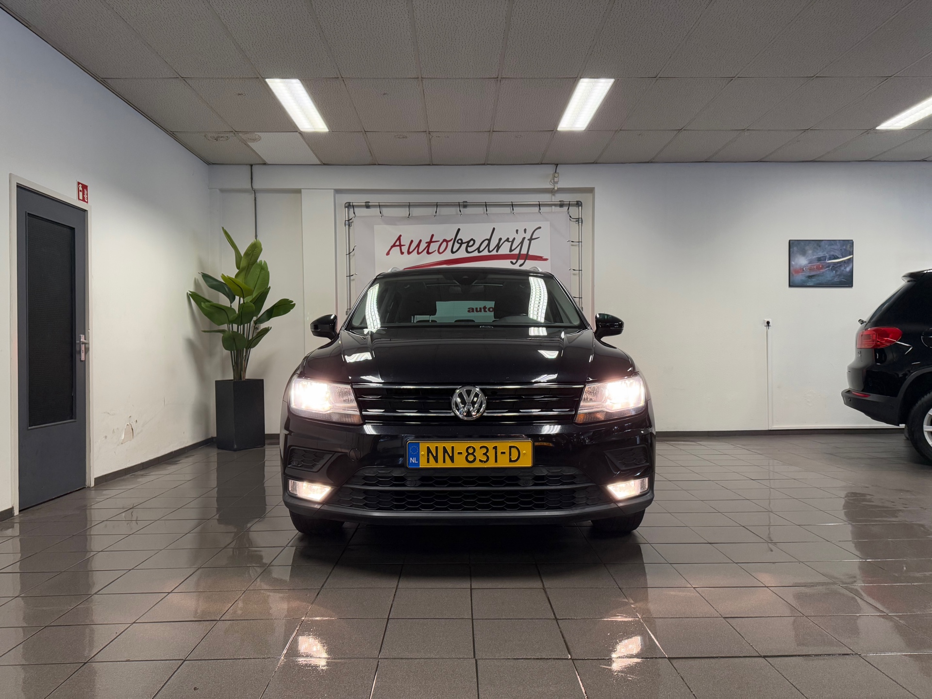 https://www.autokooy.nl//xml/images/44441053-9.JPG