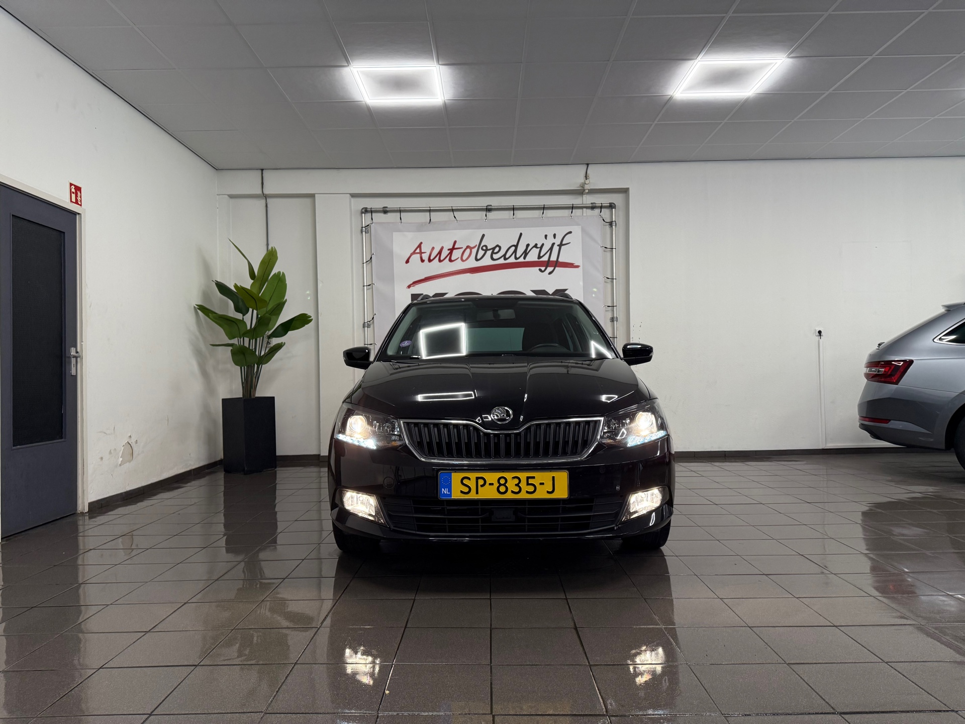 https://www.autokooy.nl//xml/images/45470425-8.JPG