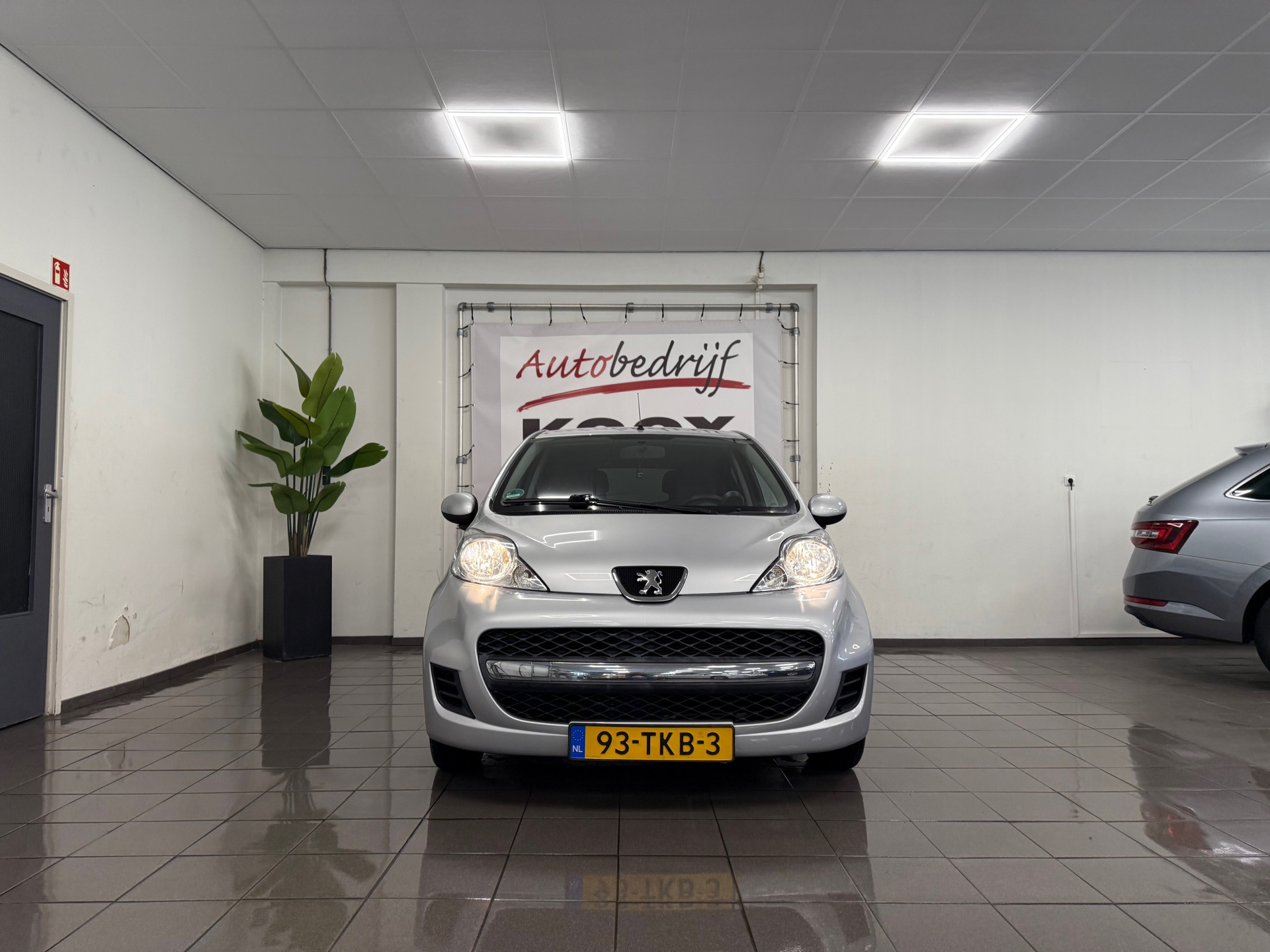 https://www.autokooy.nl//xml/images/45665544-8.JPG