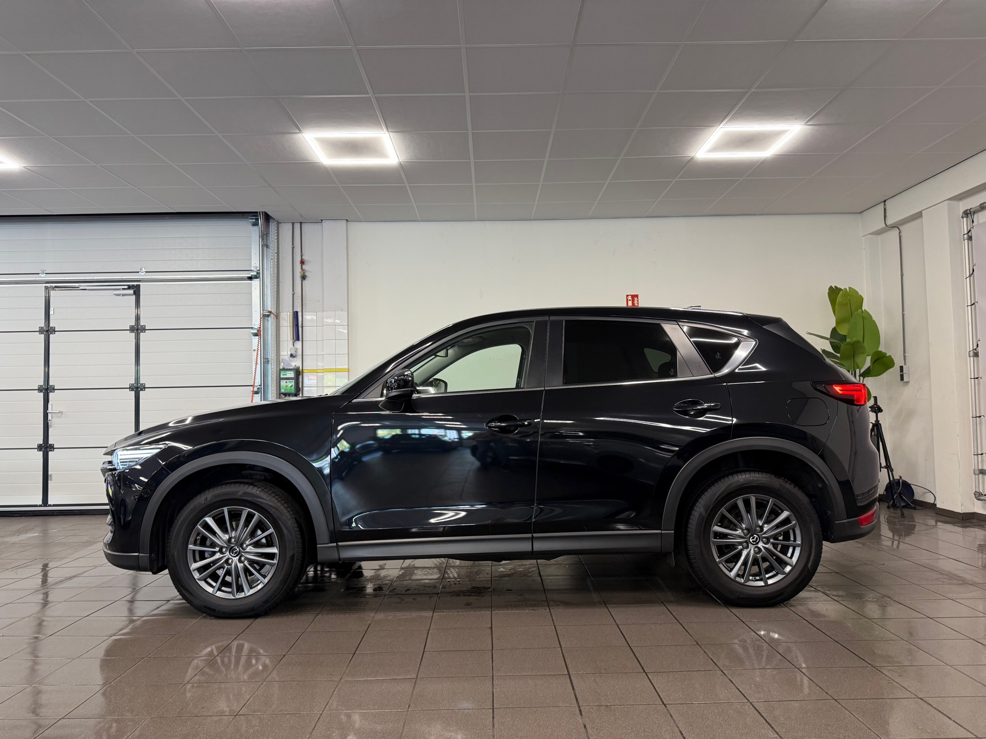 https://www.autokooy.nl//xml/images/45814222-2.JPG