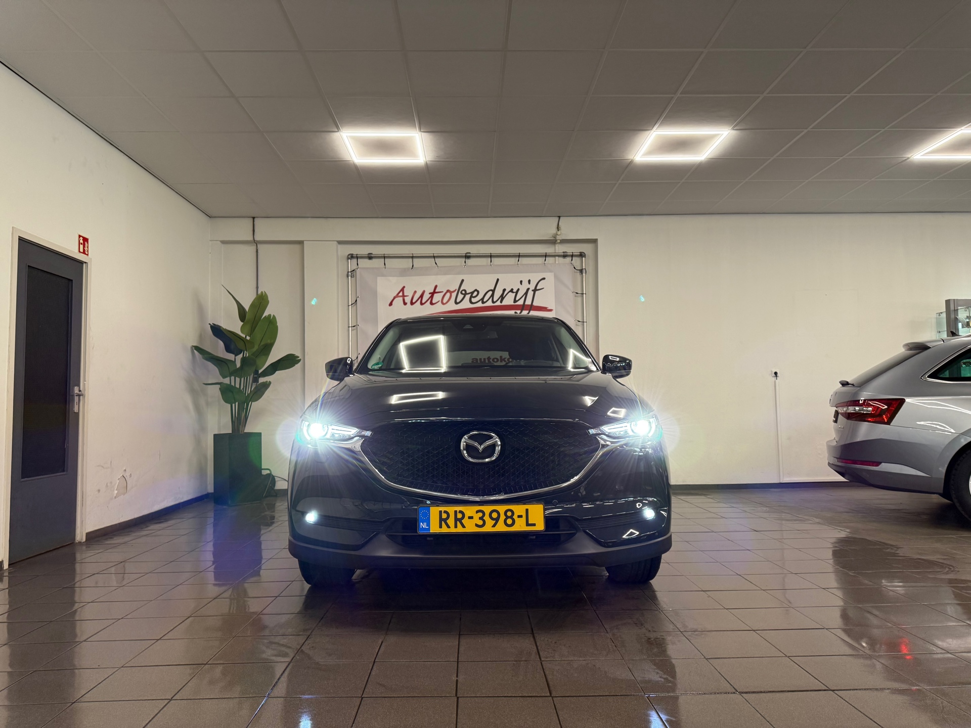 https://www.autokooy.nl//xml/images/45814222-9.JPG