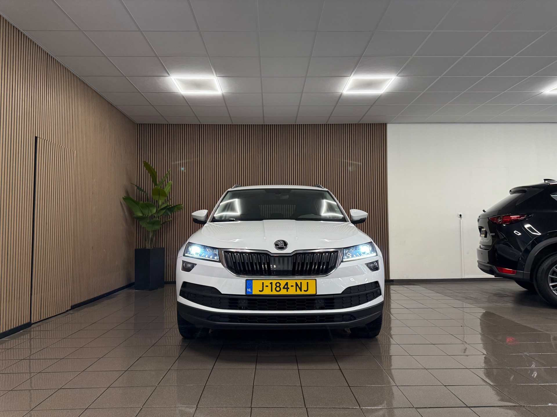 https://www.autokooy.nl//xml/images/45972481-8.JPG