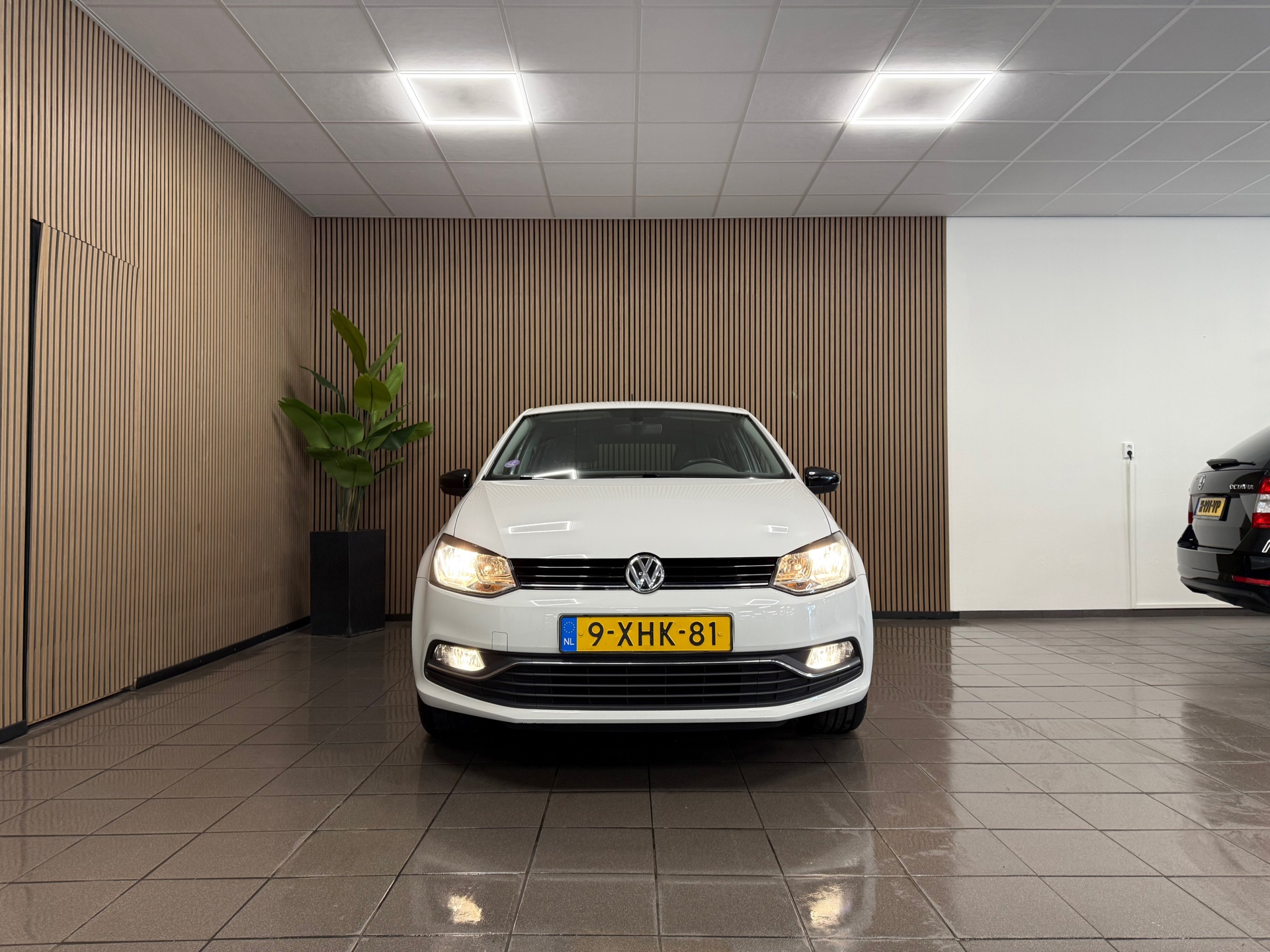 https://www.autokooy.nl//xml/images/46258809-8.JPG