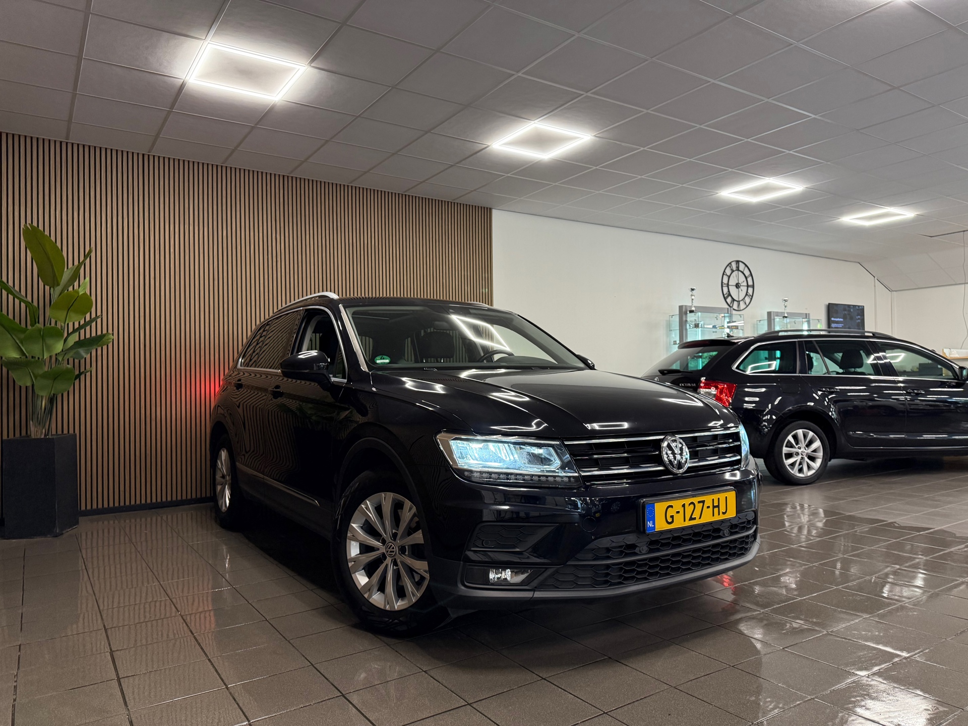 https://www.autokooy.nl//xml/images/46258941-8.JPG