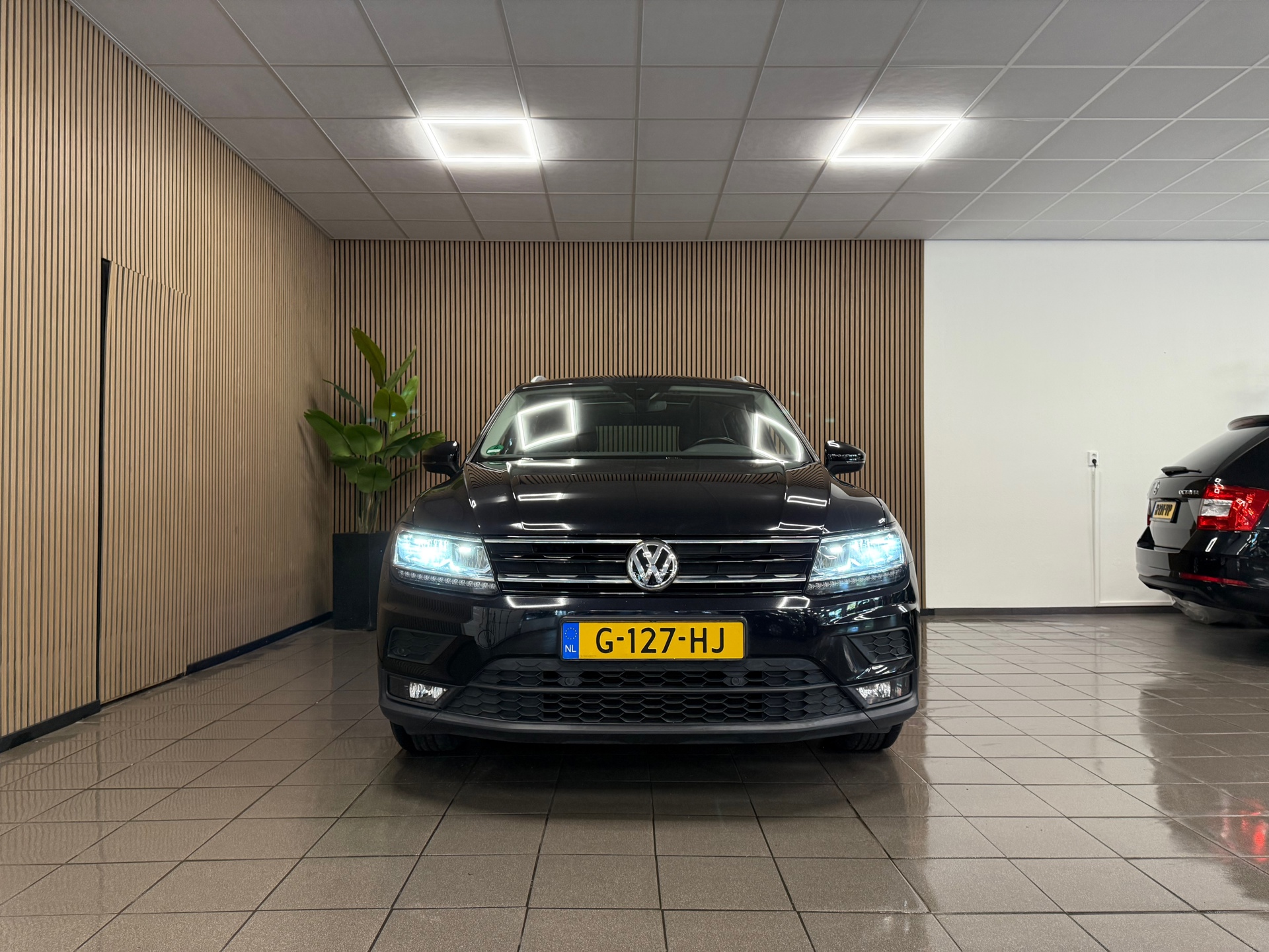 https://www.autokooy.nl//xml/images/46258941-9.JPG