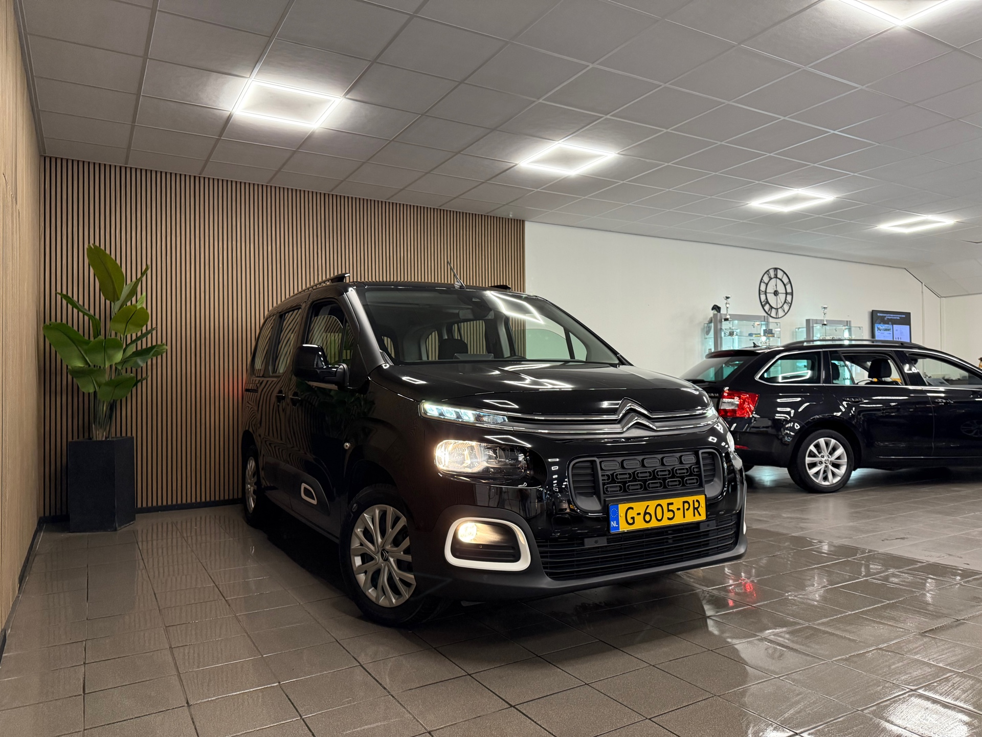 https://www.autokooy.nl//xml/images/46402744-7.JPG