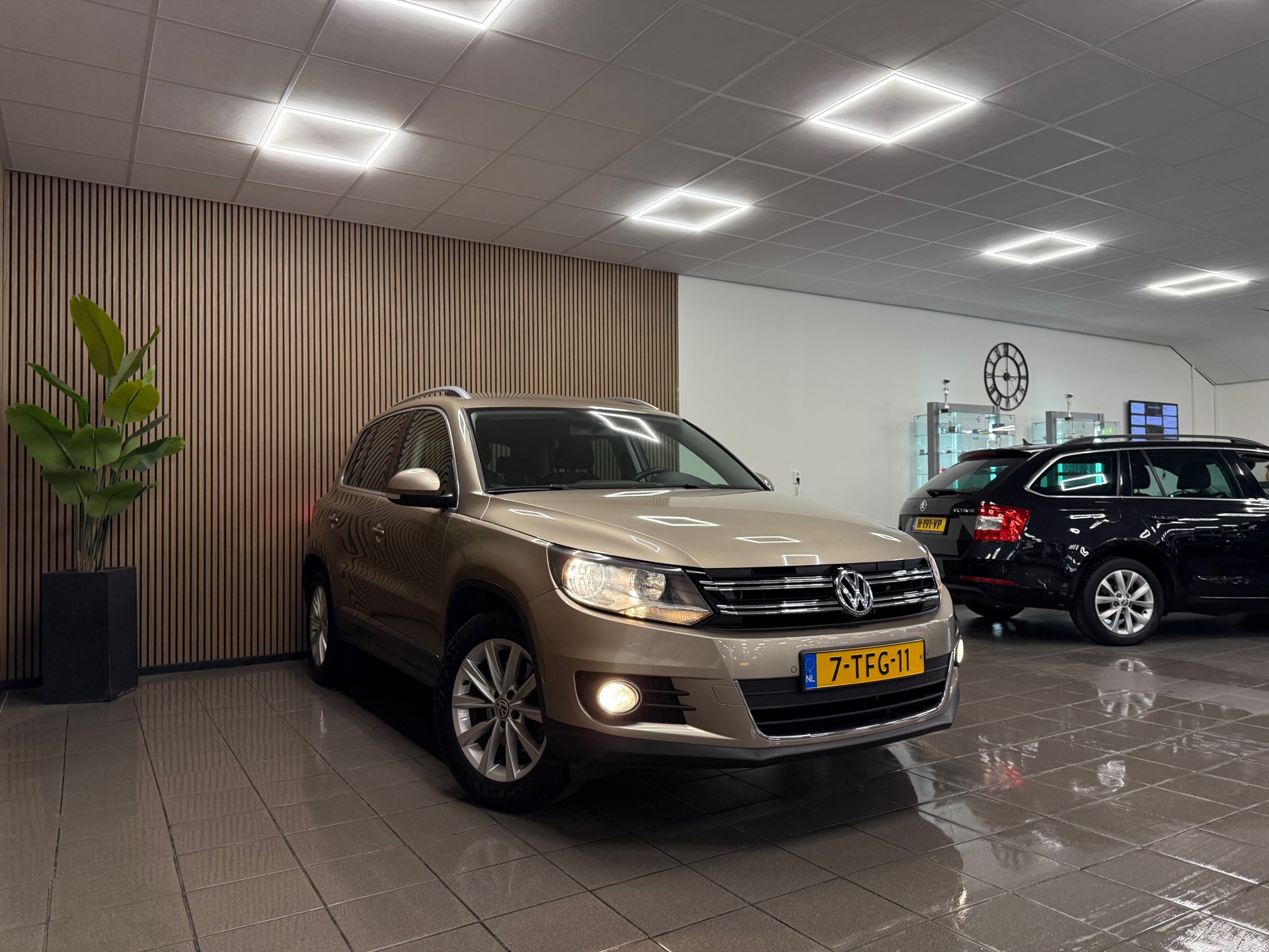 https://www.autokooy.nl//xml/images/46543656-7.JPG