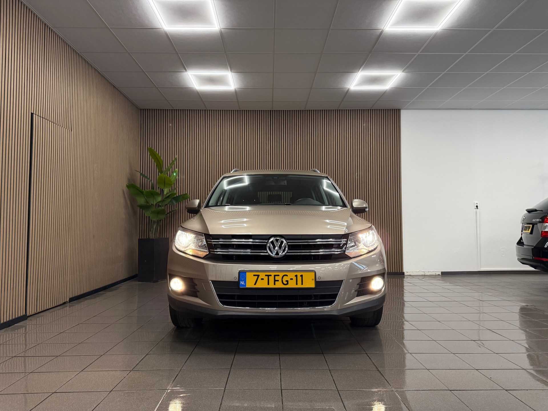 https://www.autokooy.nl//xml/images/46543656-8.JPG