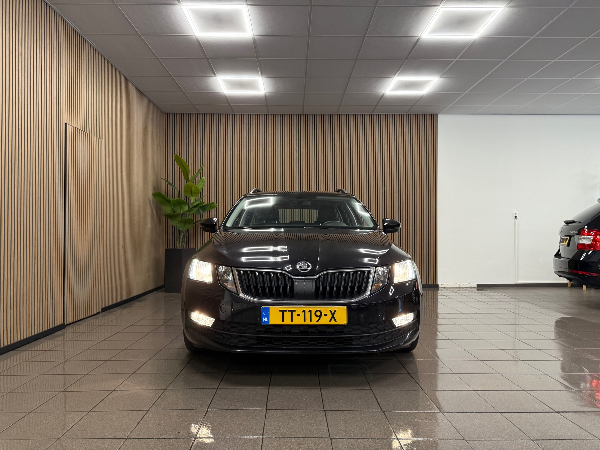 https://www.autokooy.nl//xml/images/46592317-8.JPG
