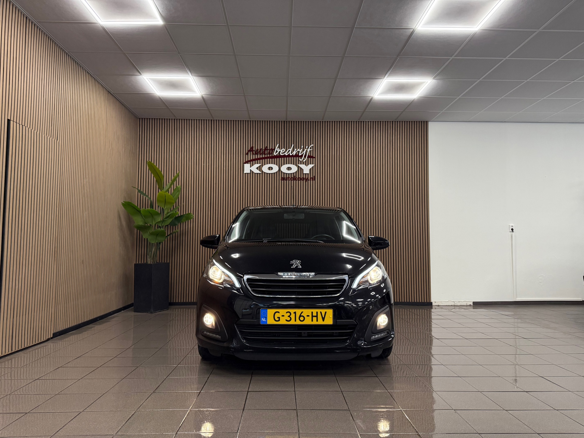https://www.autokooy.nl//xml/images/46745579-8.JPG