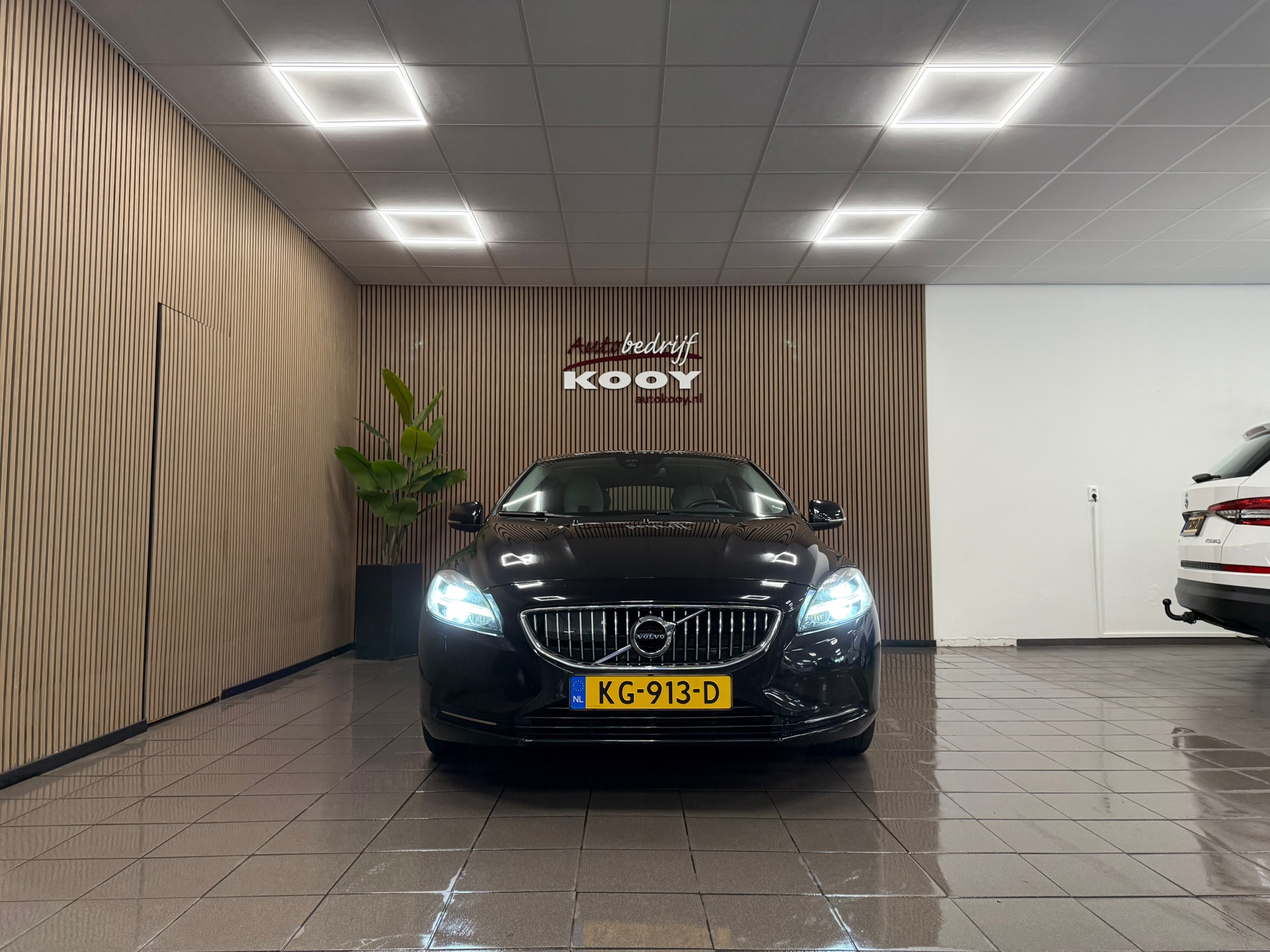 https://www.autokooy.nl//xml/images/47057384-8.JPG