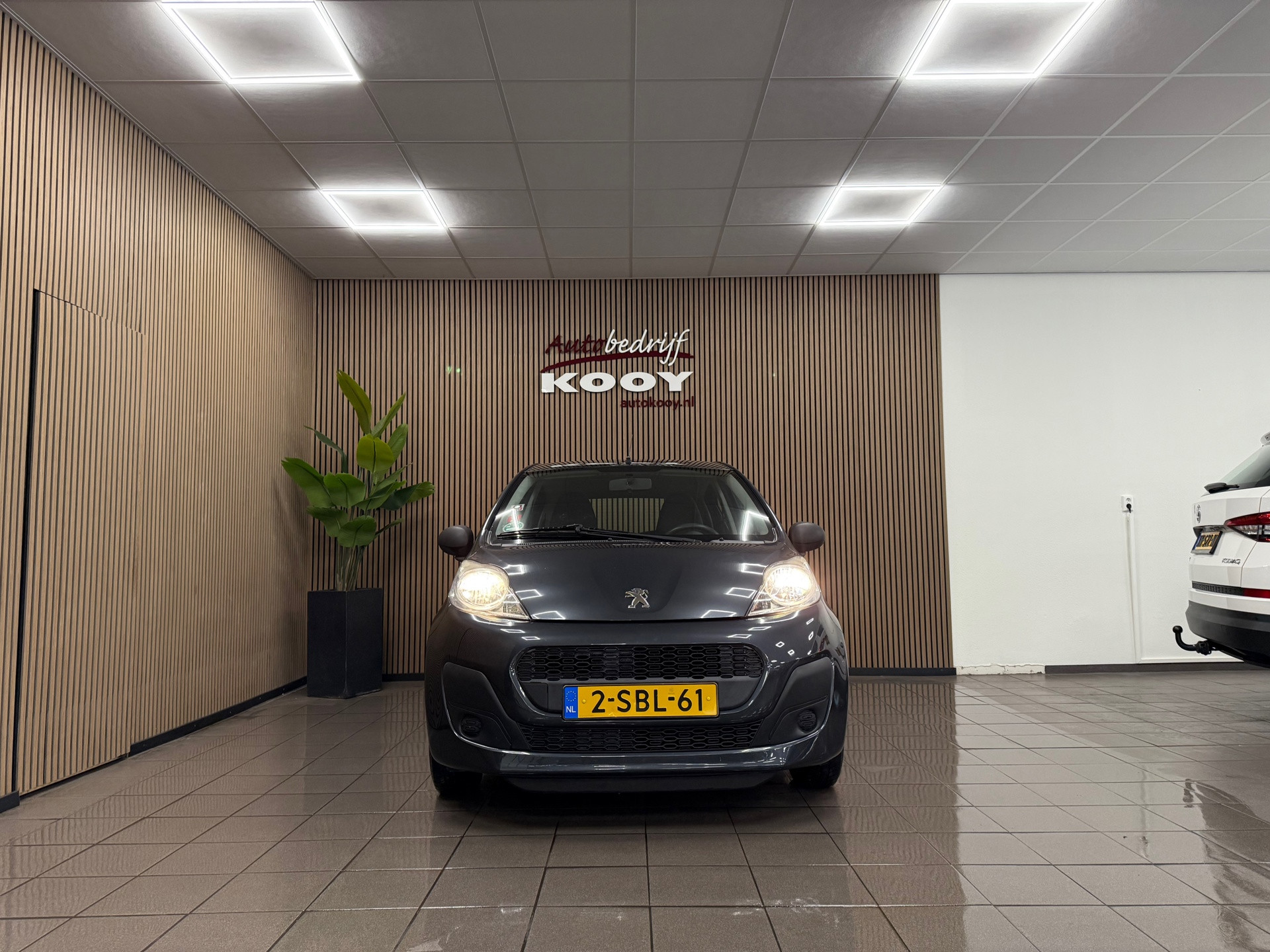 https://www.autokooy.nl//xml/images/47147243-8.JPG