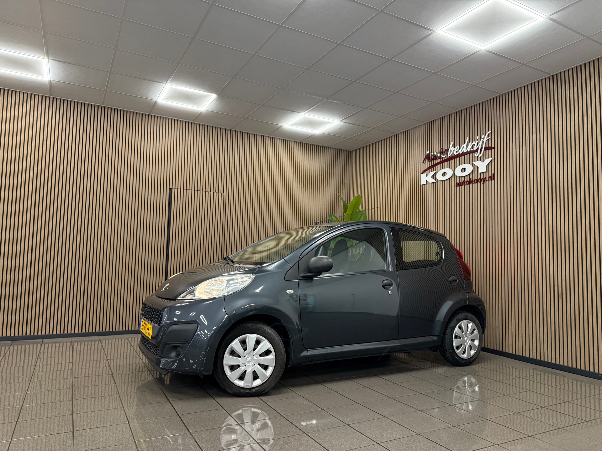 https://www.autokooy.nl//xml/images/47147243-9.JPG