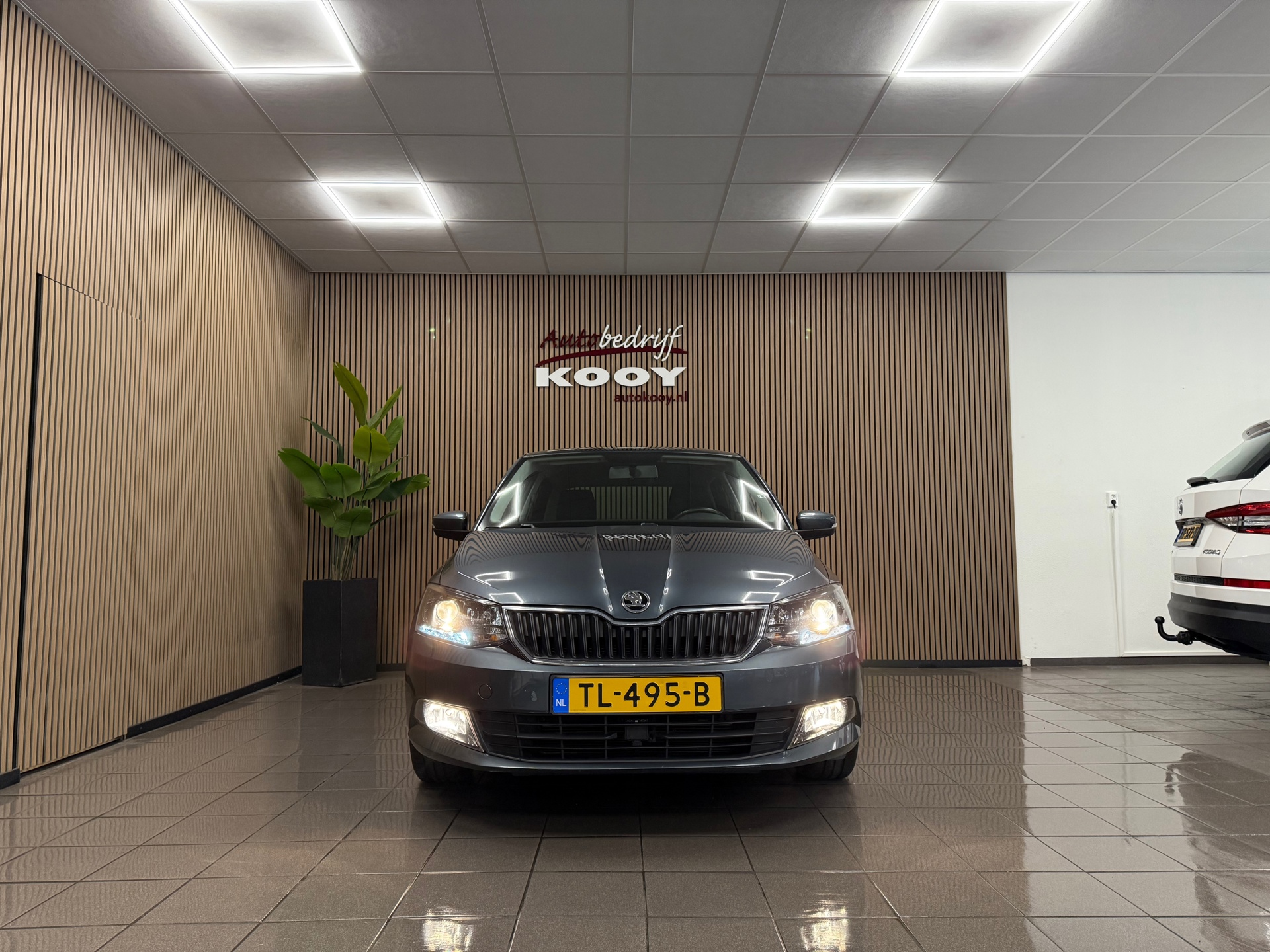 https://www.autokooy.nl//xml/images/47235581-8.JPG
