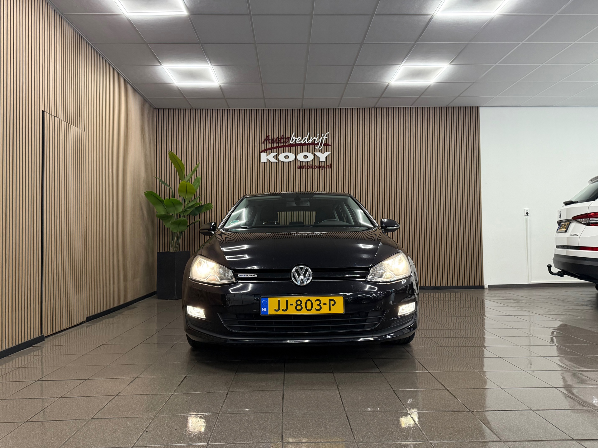 https://www.autokooy.nl//xml/images/47355257-8.JPG