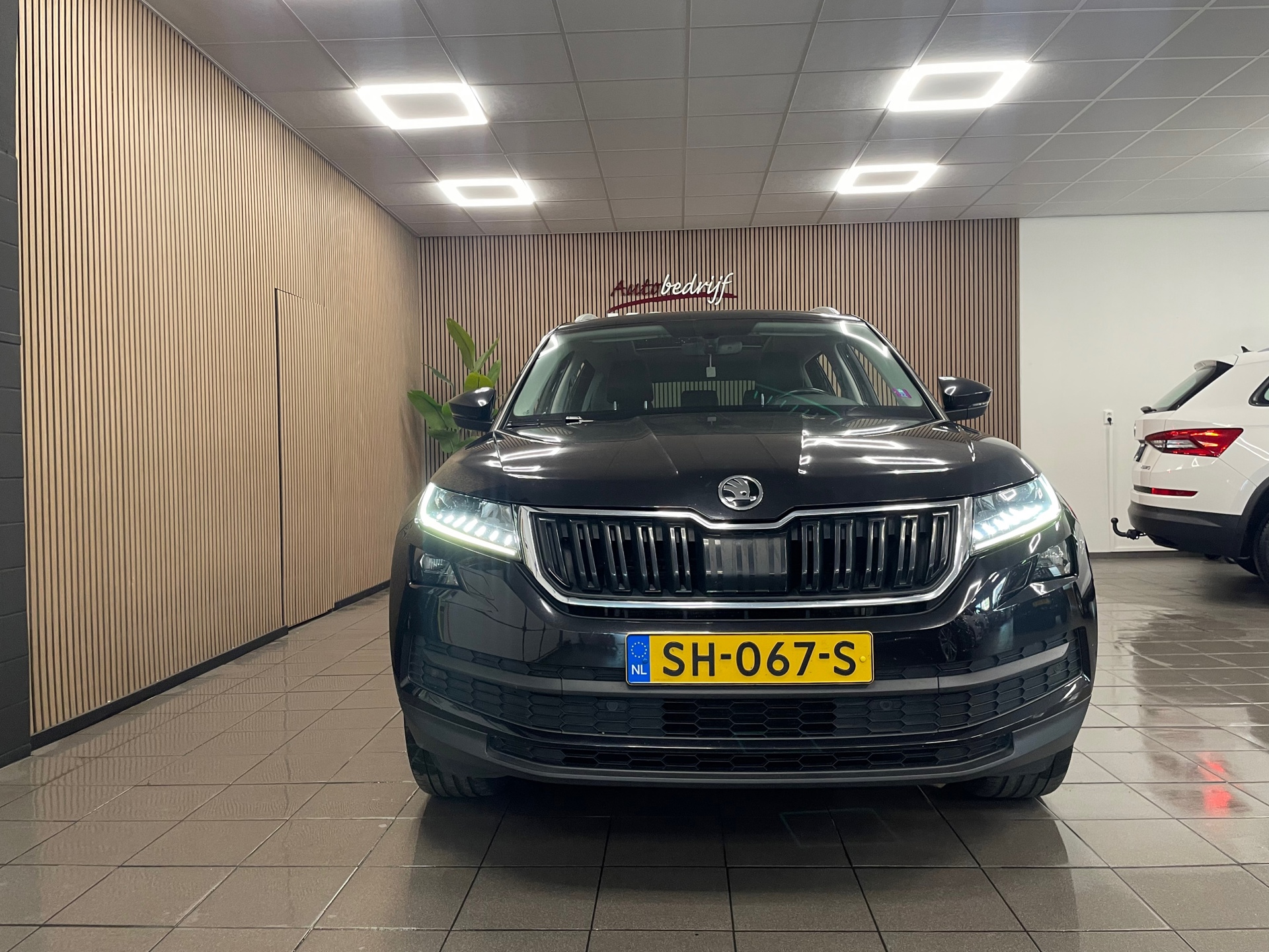 https://www.autokooy.nl//xml/images/47538961-9.JPG
