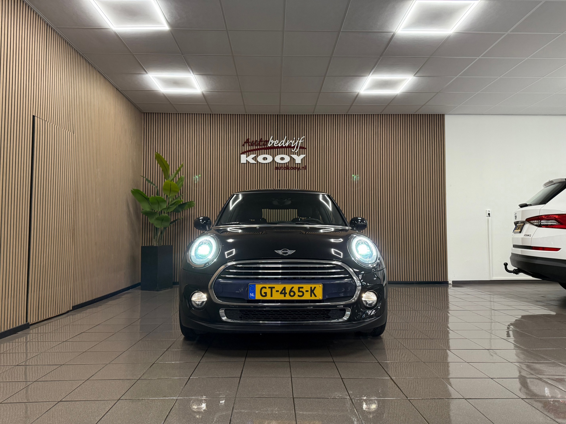 https://www.autokooy.nl//xml/images/47742049-8.JPG