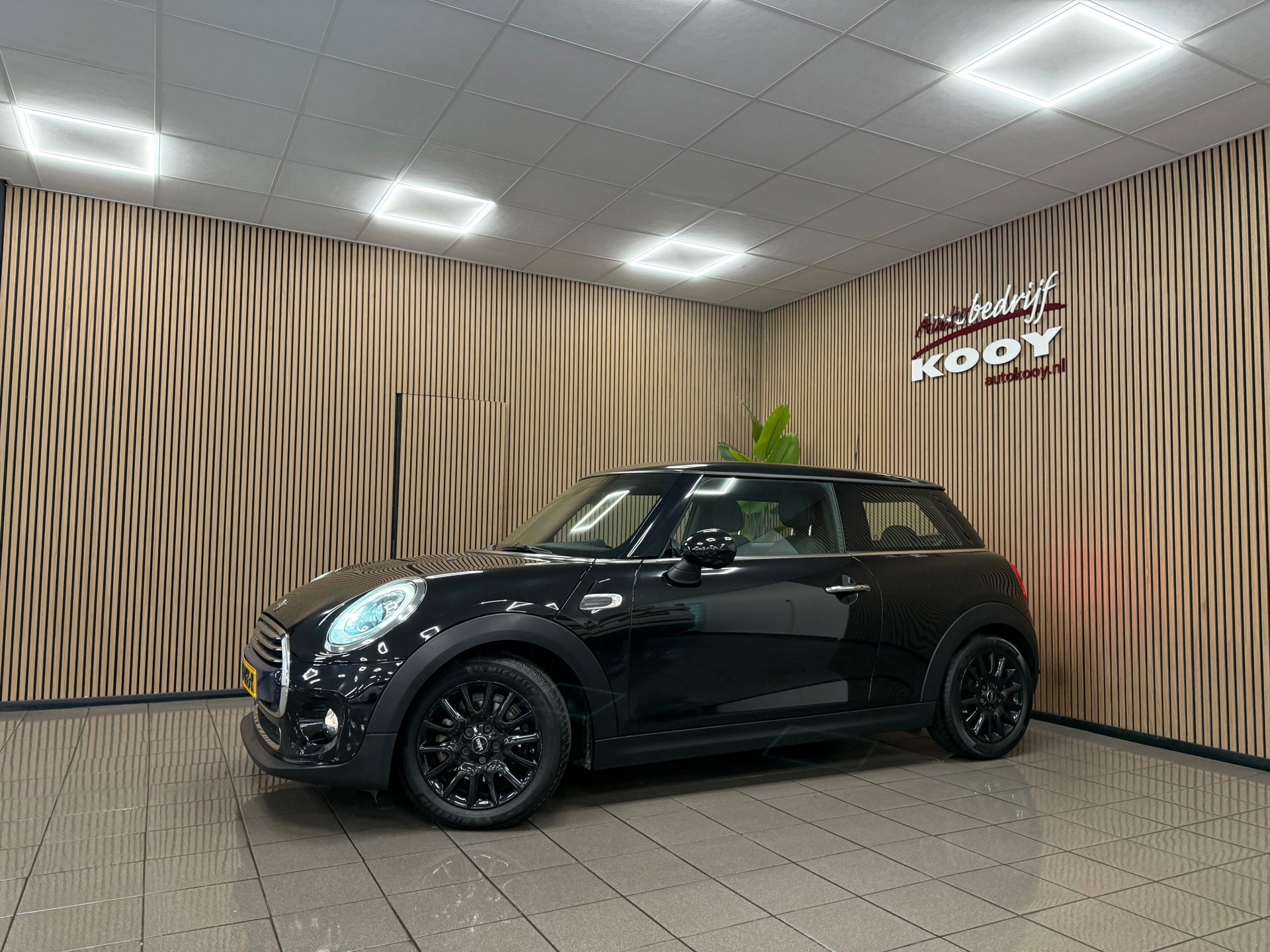 https://www.autokooy.nl//xml/images/47742049-9.JPG