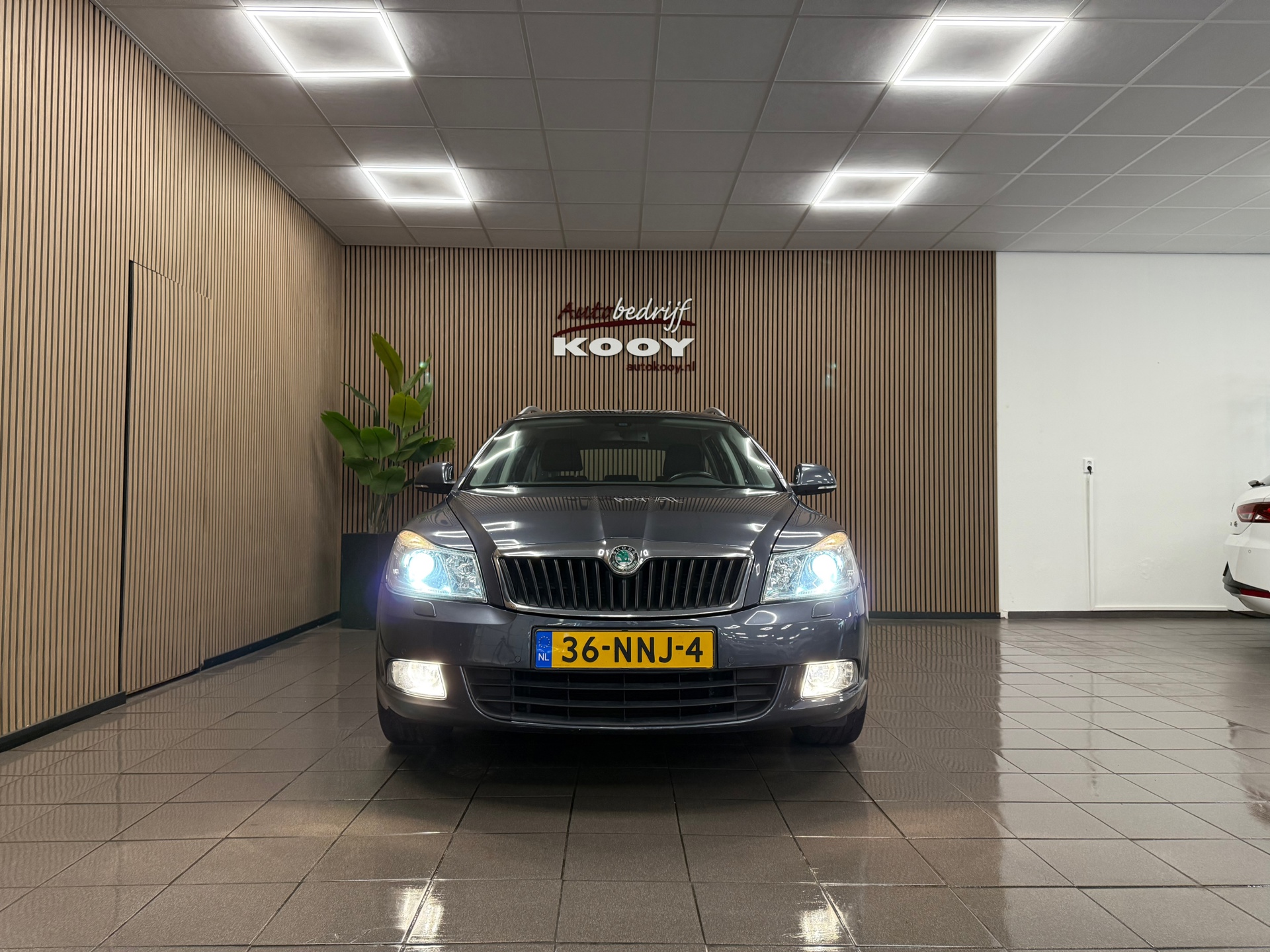 https://www.autokooy.nl//xml/images/47897936-8.JPG