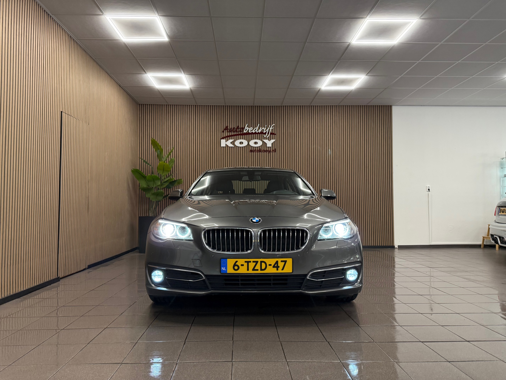https://www.autokooy.nl//xml/images/48307539-8.JPG
