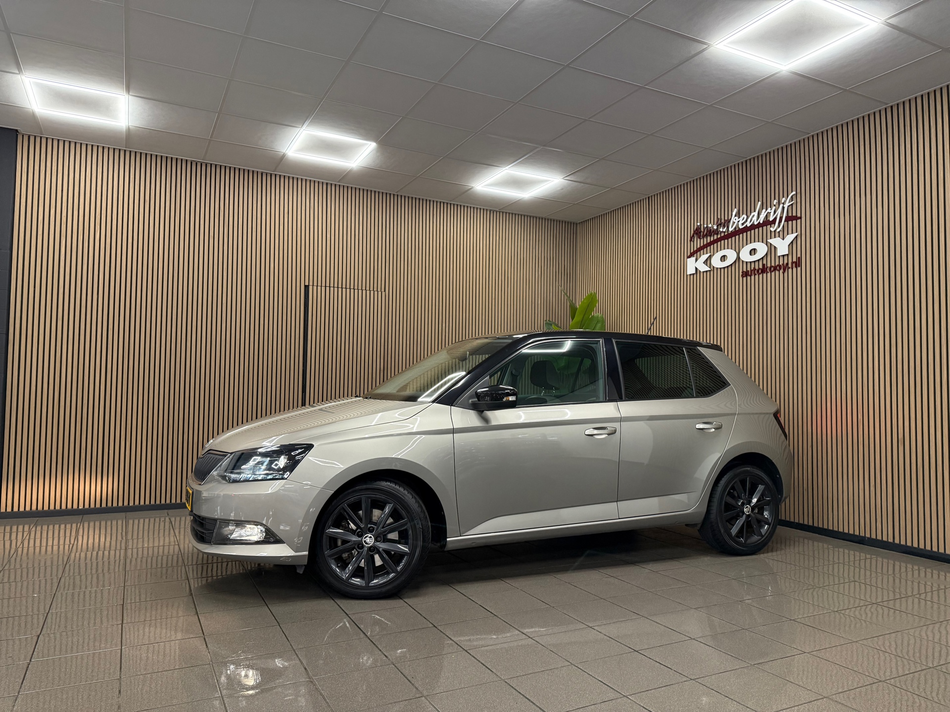 https://www.autokooy.nl//xml/images/48416638-10.JPG
