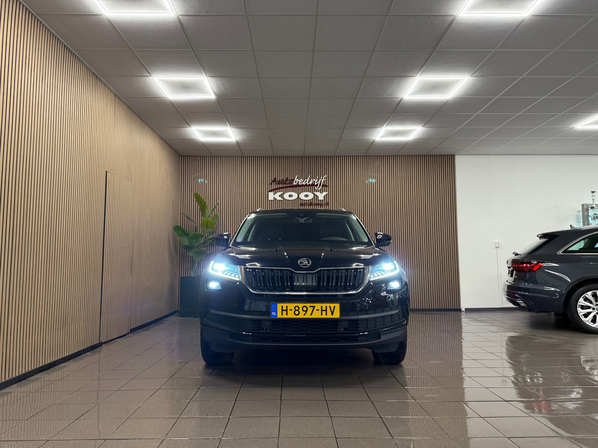 https://www.autokooy.nl//xml/images/48841549-9.JPG