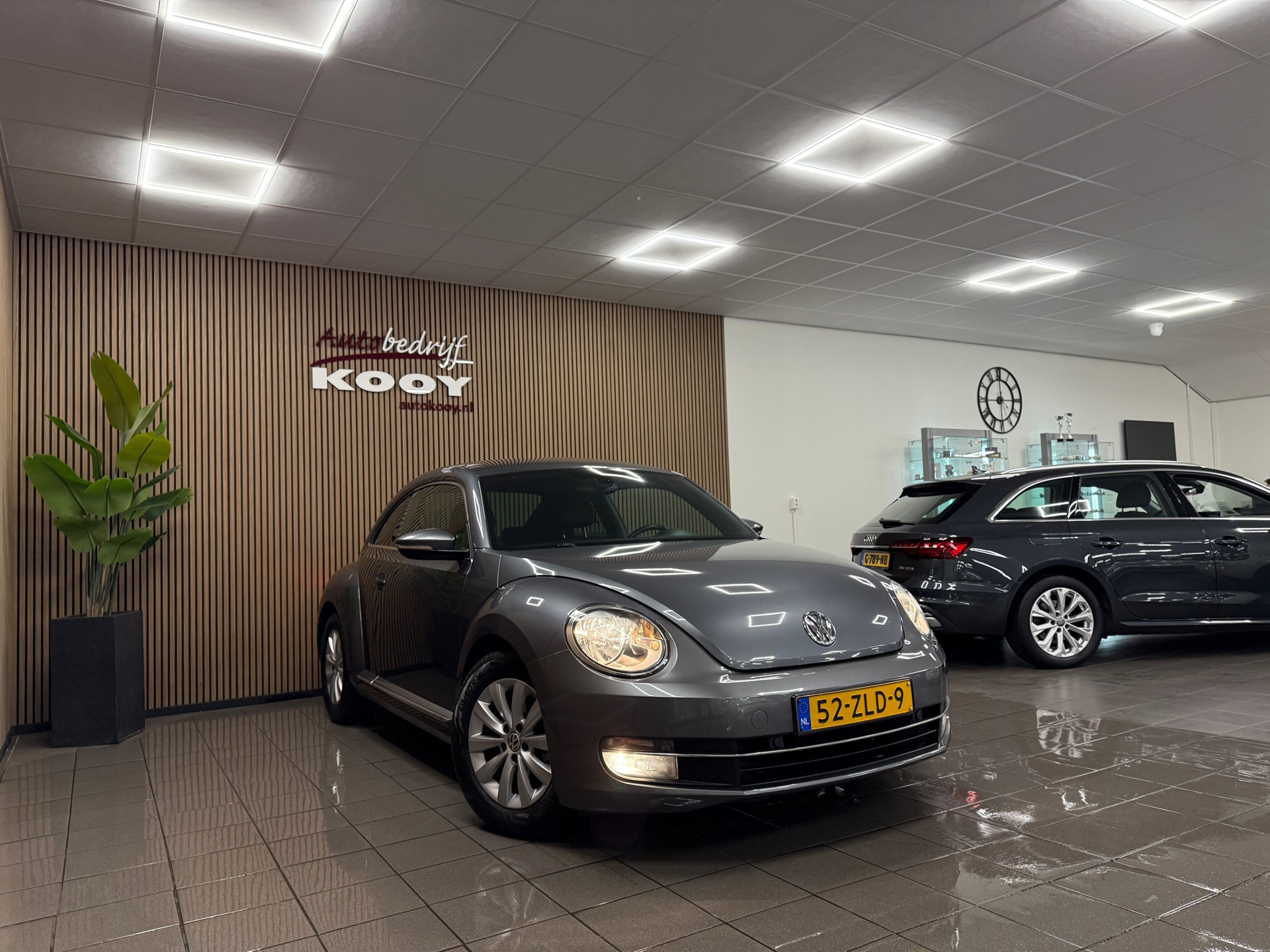 https://www.autokooy.nl//xml/images/49019921-8.JPG