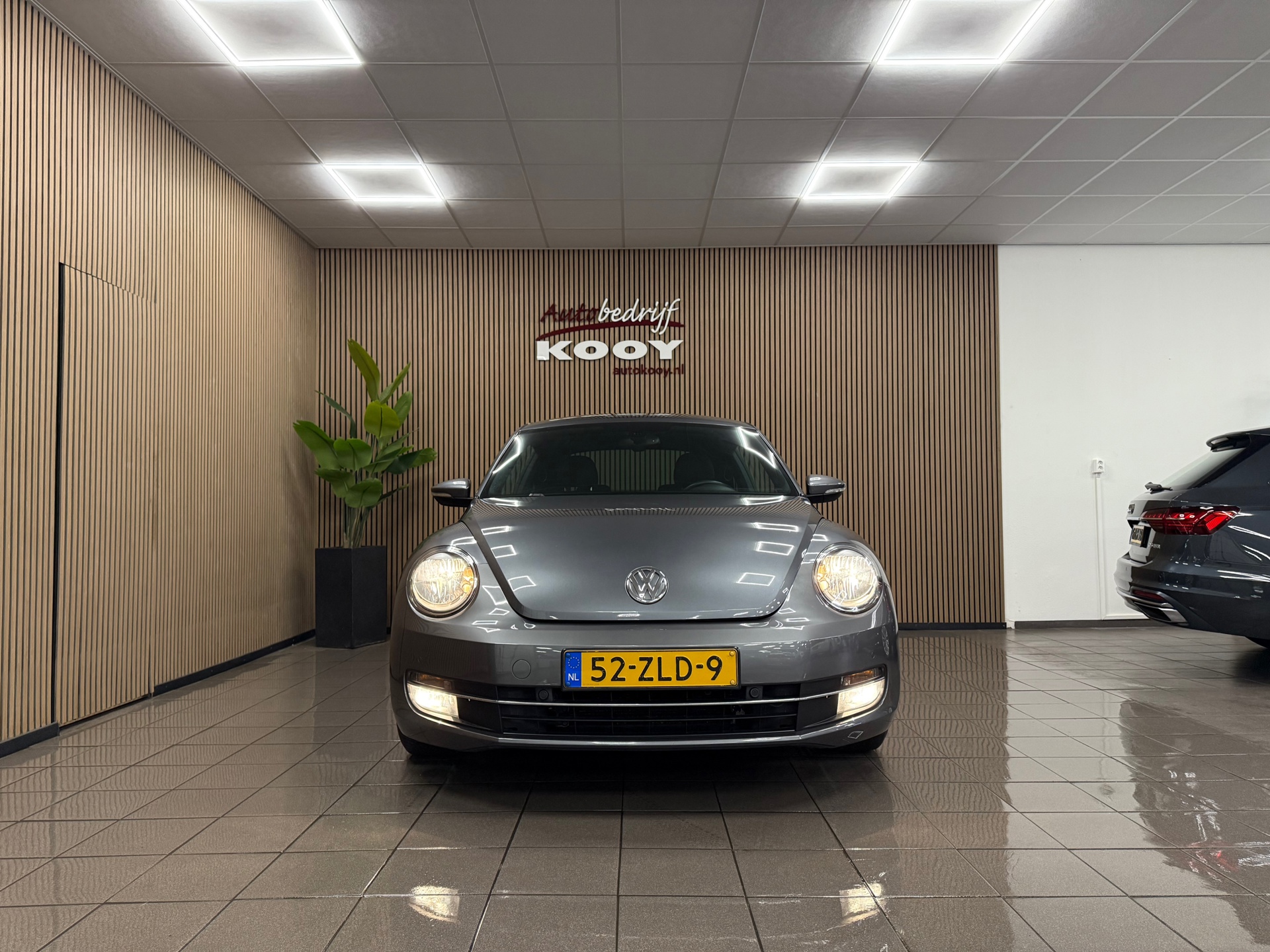 https://www.autokooy.nl//xml/images/49019921-9.JPG