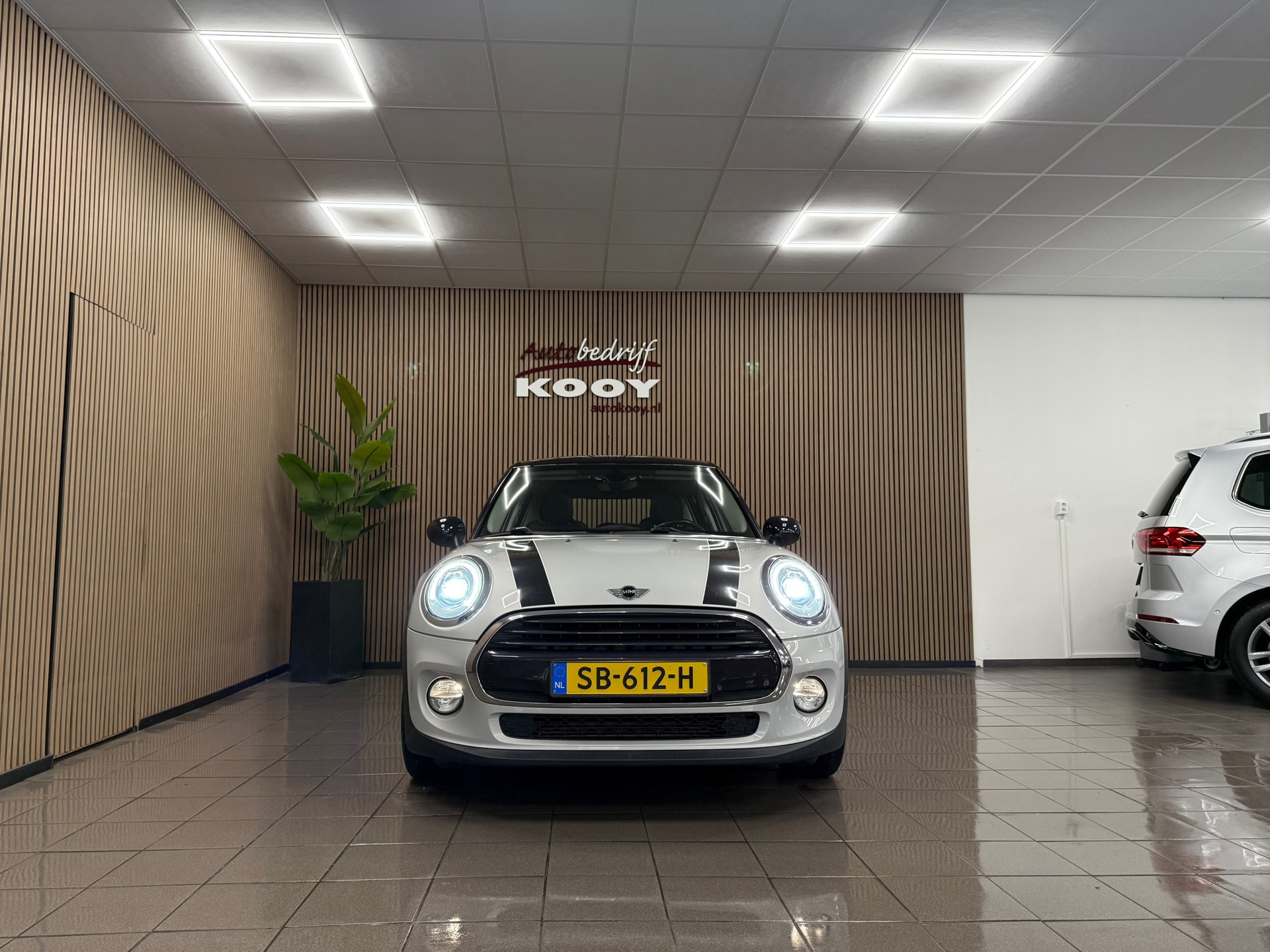 https://www.autokooy.nl//xml/images/50319551-8.JPG