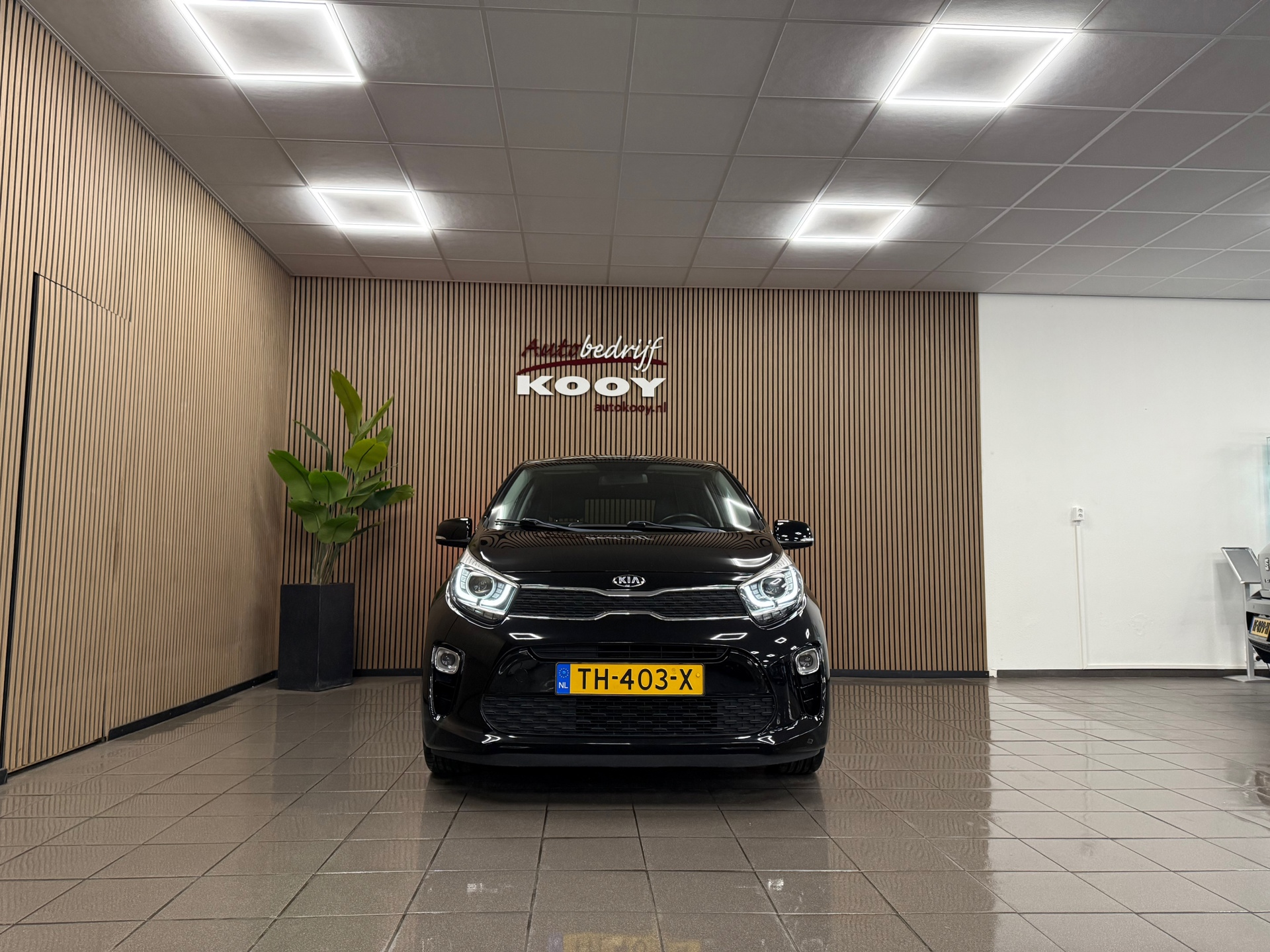 https://www.autokooy.nl//xml/images/50967731-9.JPG