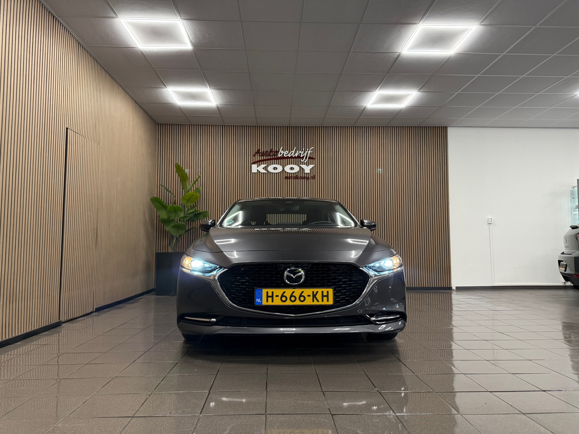 https://www.autokooy.nl//xml/images/51005272-8.JPG
