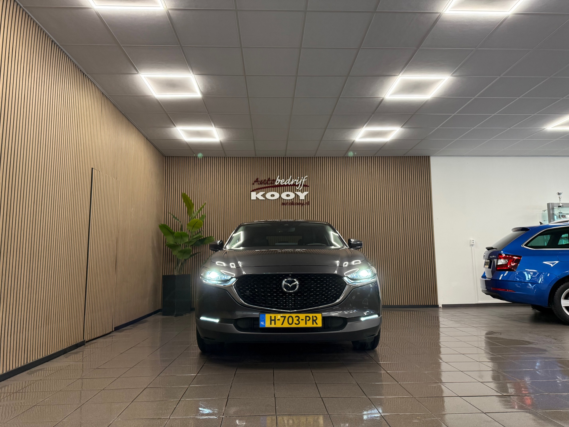 https://www.autokooy.nl//xml/images/53124995-9.JPG