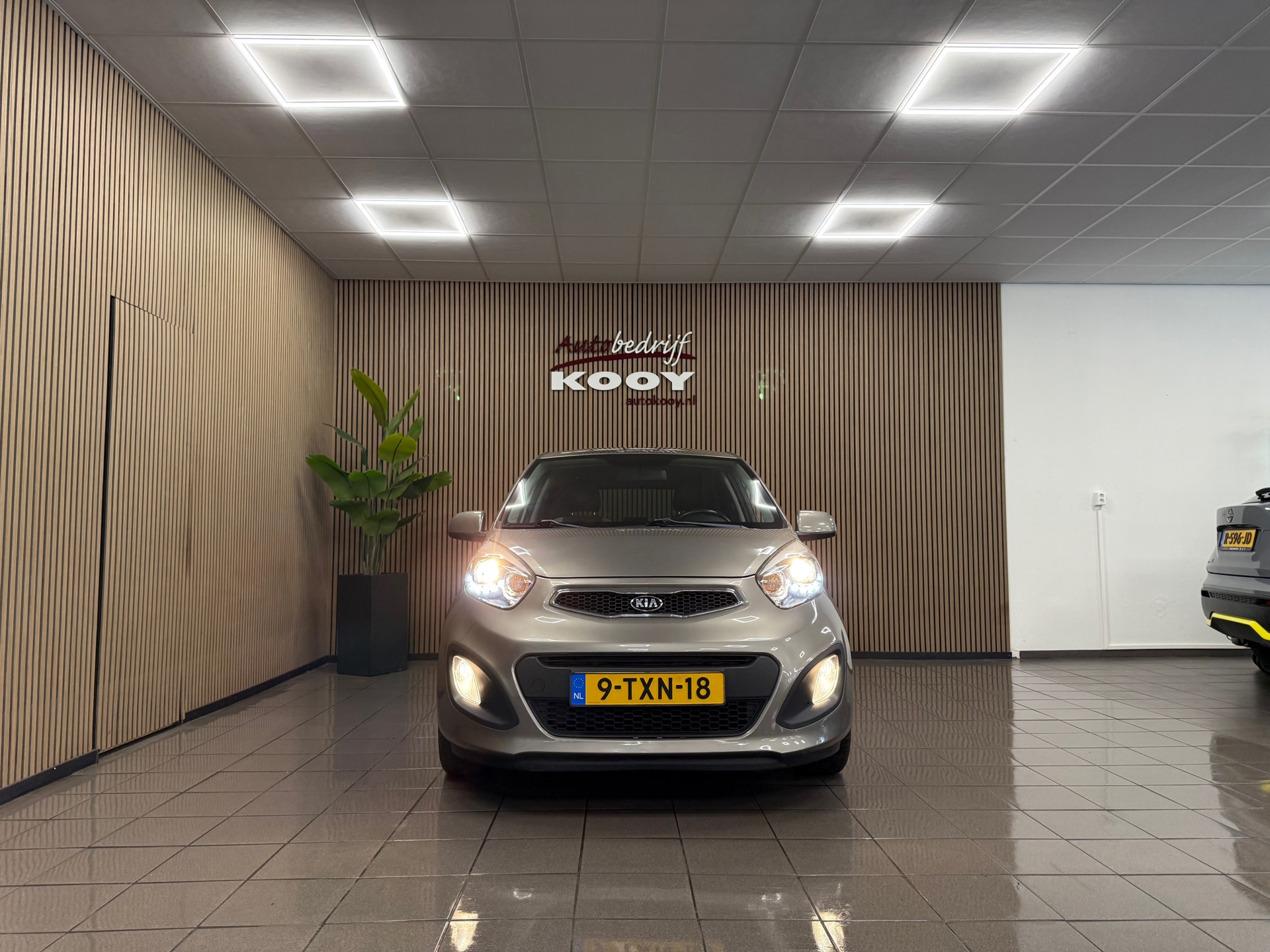 https://www.autokooy.nl//xml/images/54555035-8.JPG