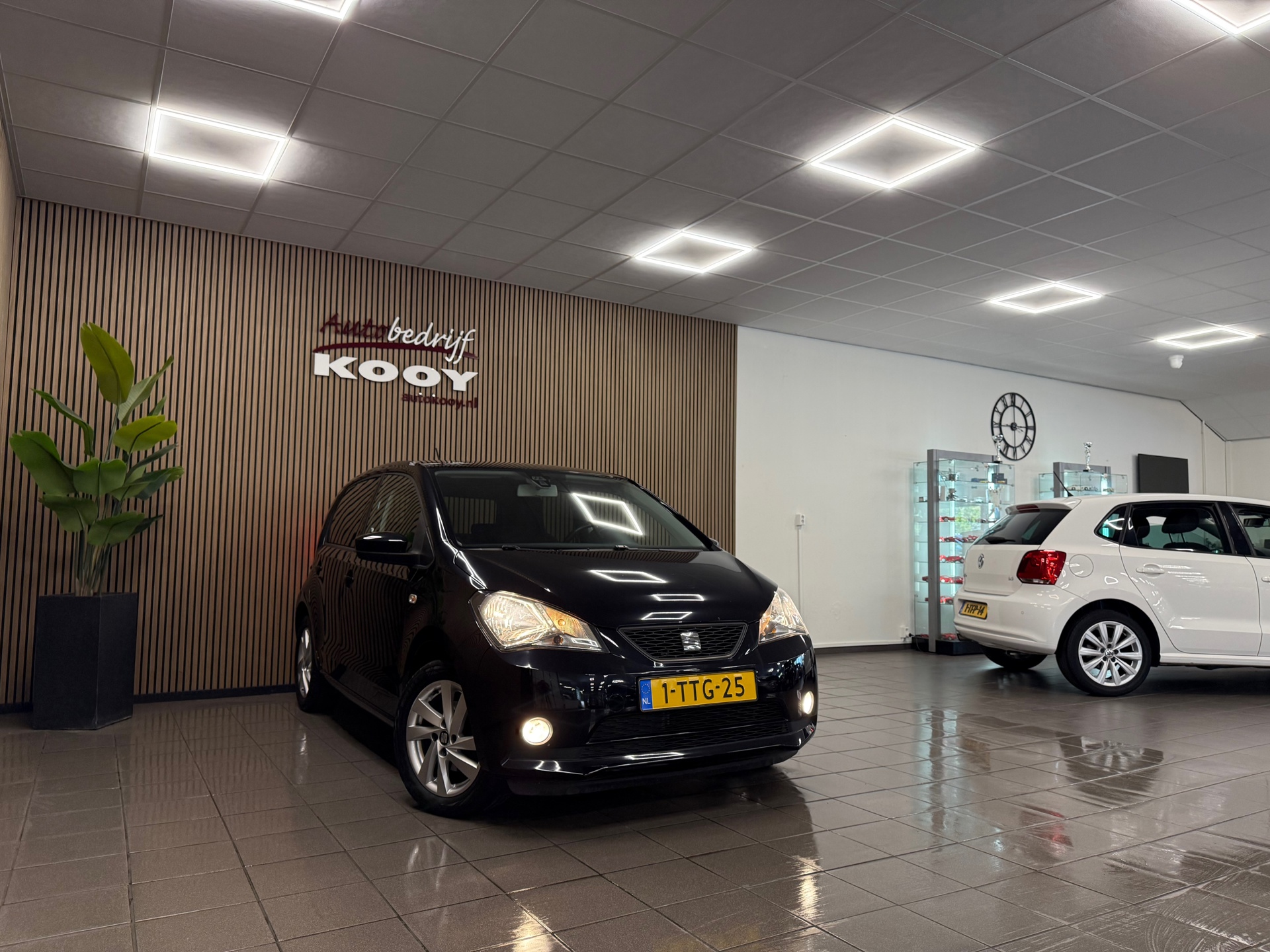 https://www.autokooy.nl//xml/images/54959486-7.JPG