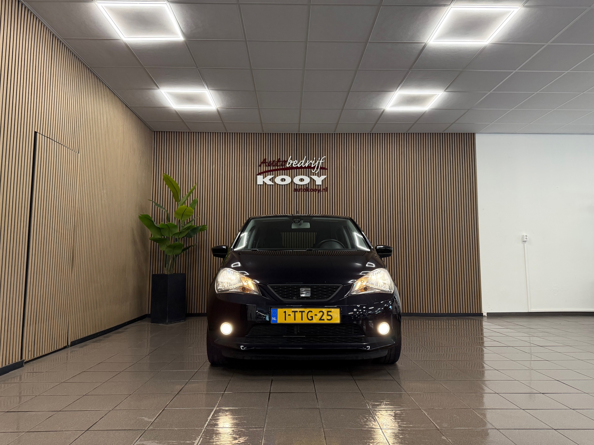 https://www.autokooy.nl//xml/images/54959486-8.JPG