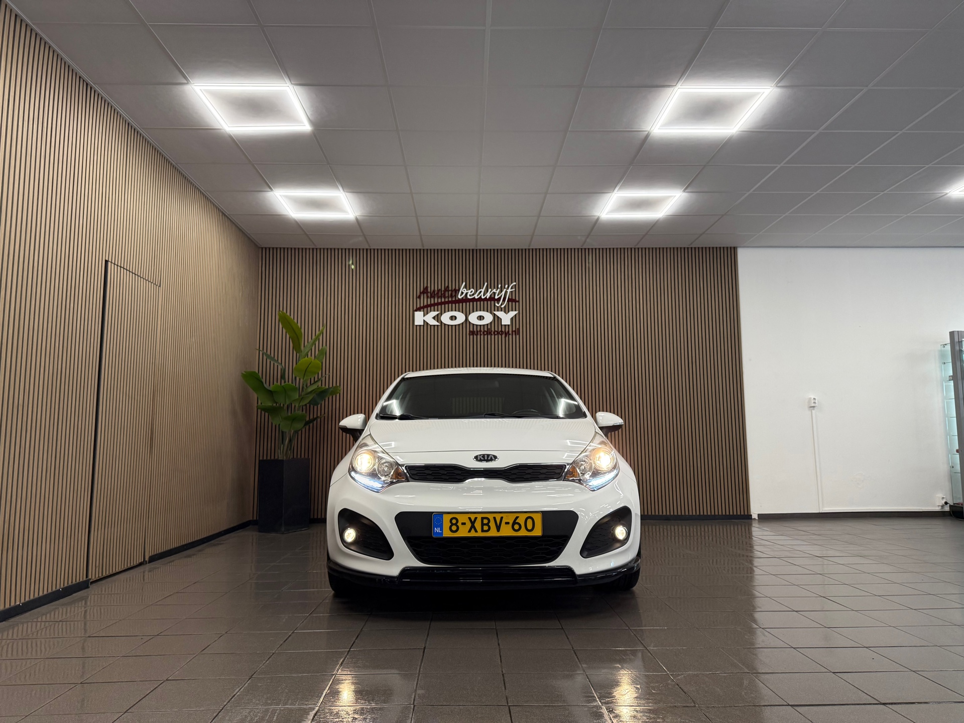 https://www.autokooy.nl//xml/images/55109823-8.JPG