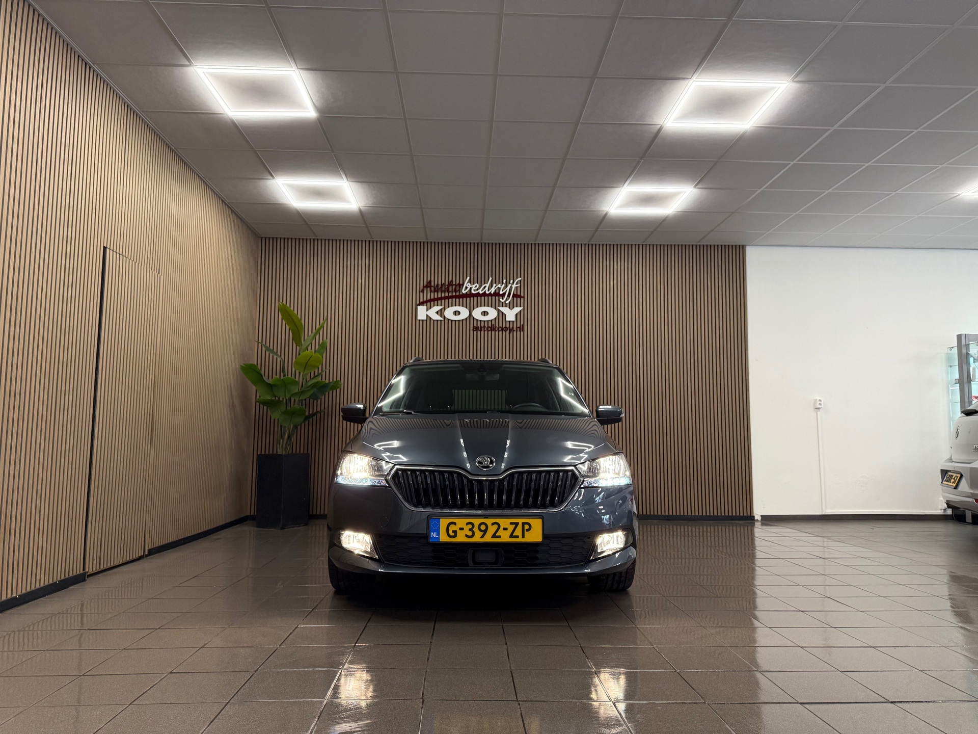https://www.autokooy.nl//xml/images/55385496-8.JPG