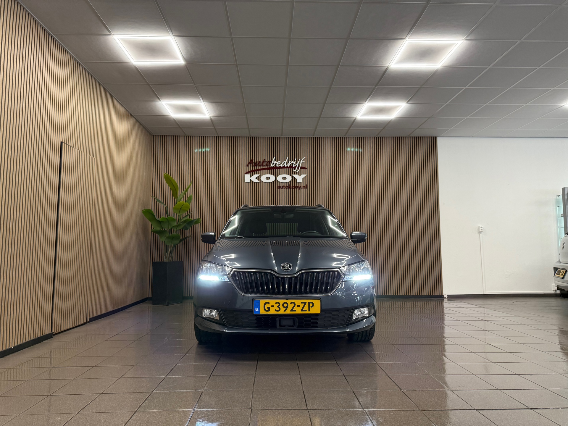 https://www.autokooy.nl//xml/images/55385496-9.JPG