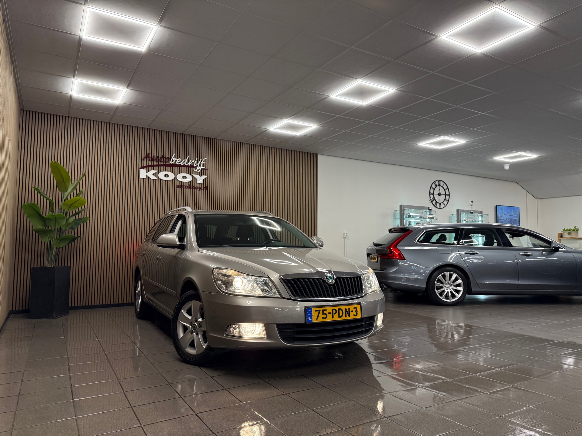 https://www.autokooy.nl//xml/images/56024094-7.JPG