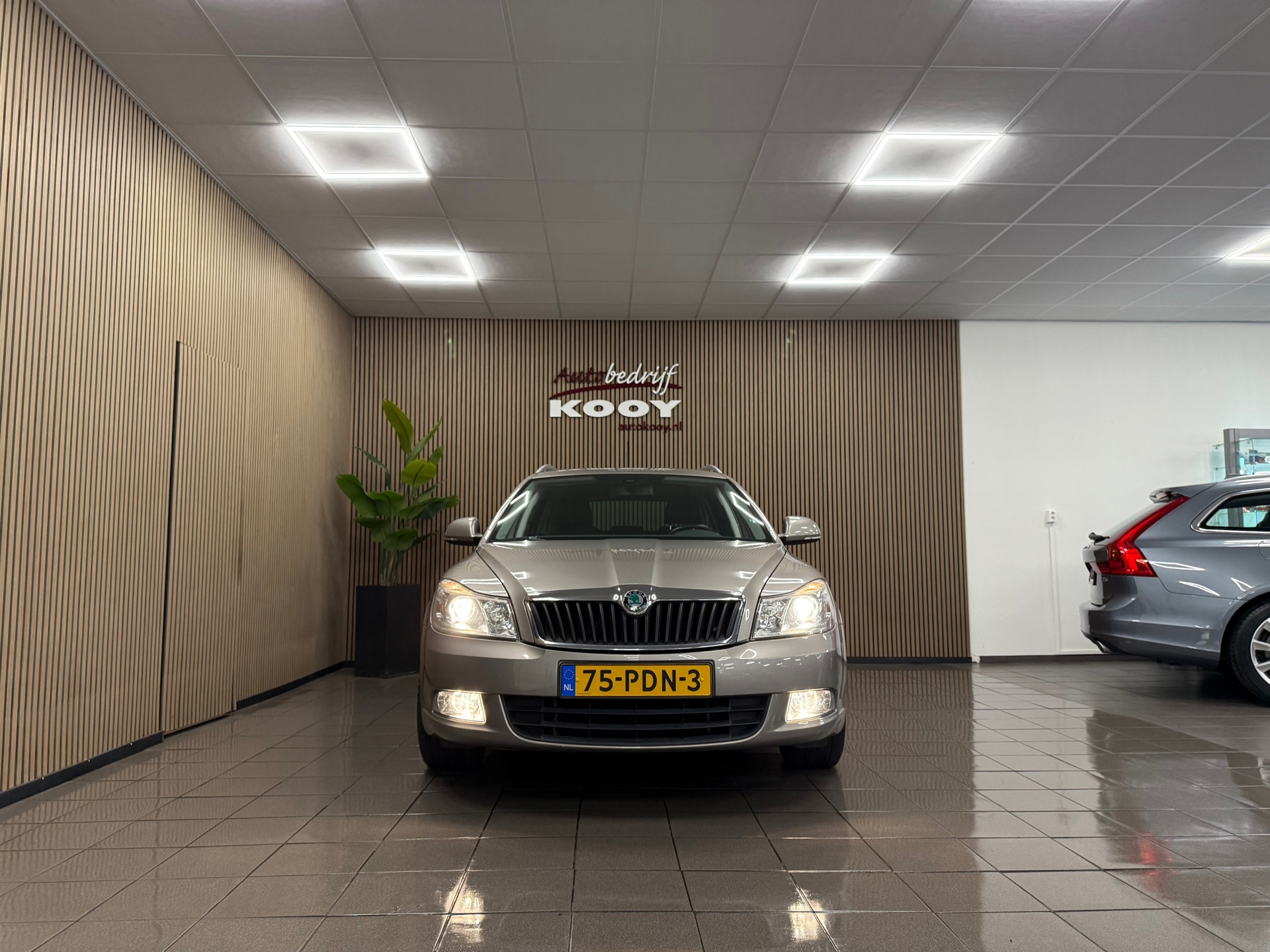 https://www.autokooy.nl//xml/images/56024094-8.JPG