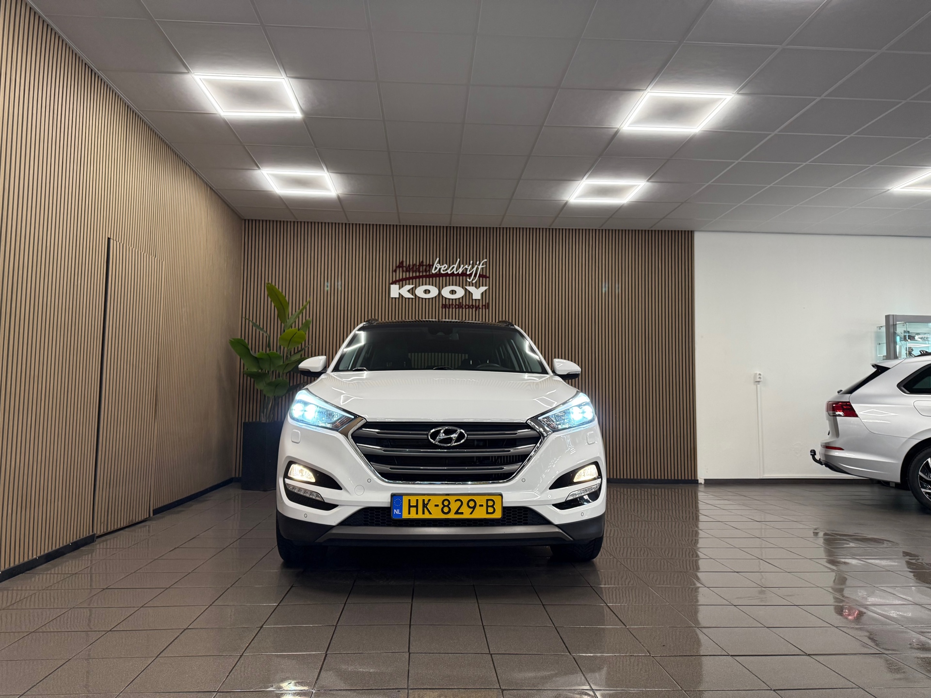 https://www.autokooy.nl//xml/images/56432446-9.JPG
