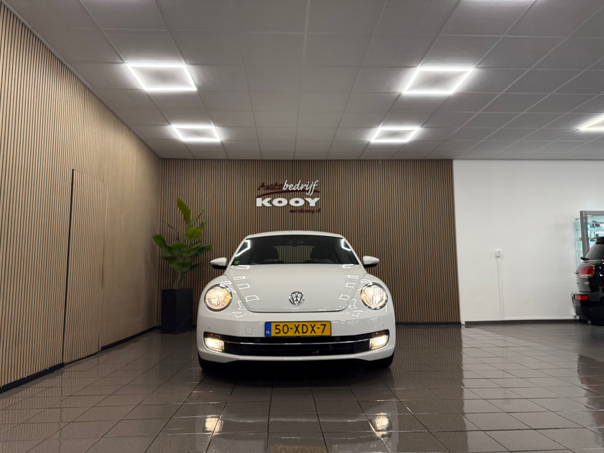 https://www.autokooy.nl//xml/images/56581411-8.JPG